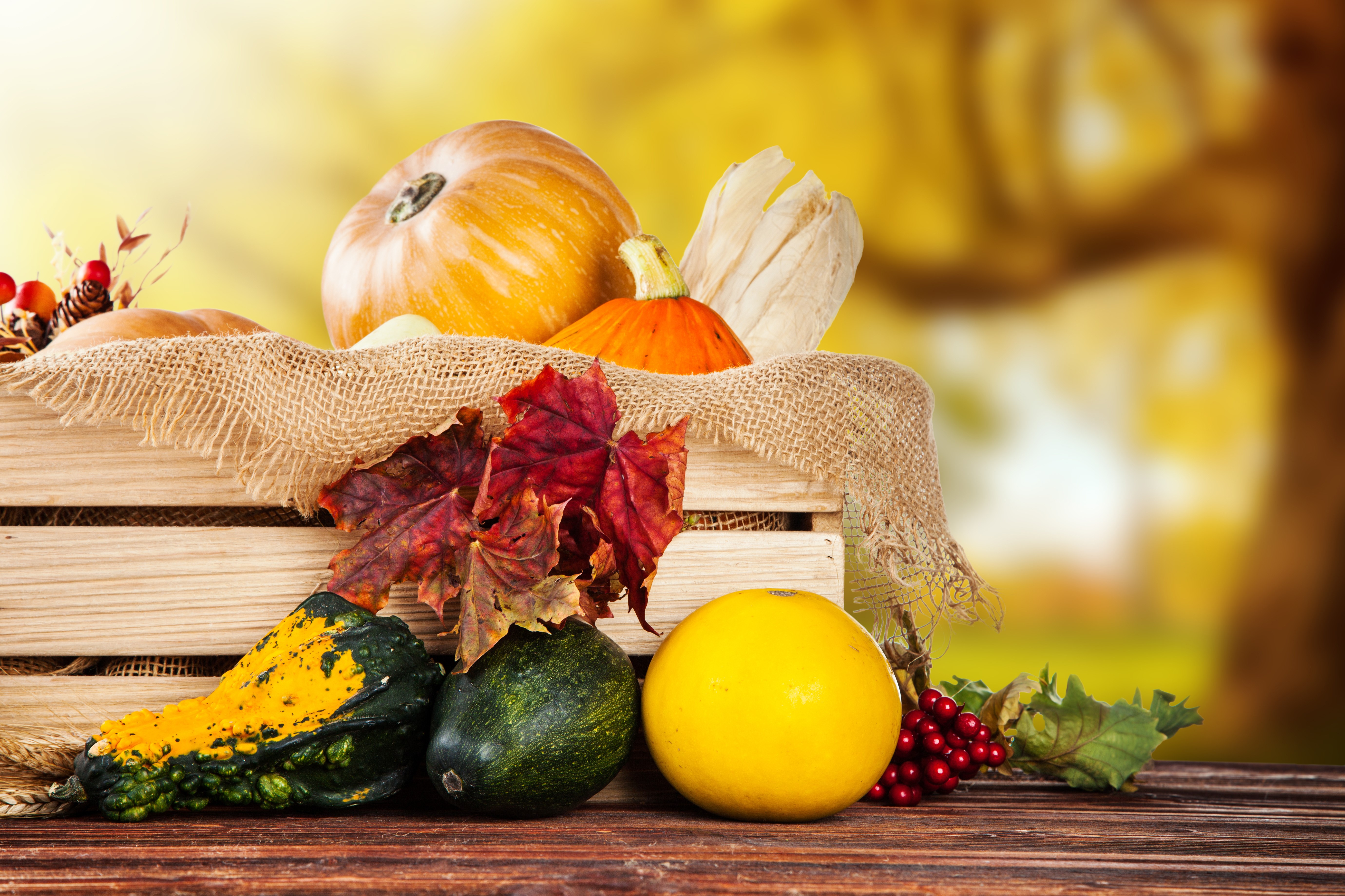 Autumn harvest of pumpkins and gourds in a wooden crate HD Wallpaper
