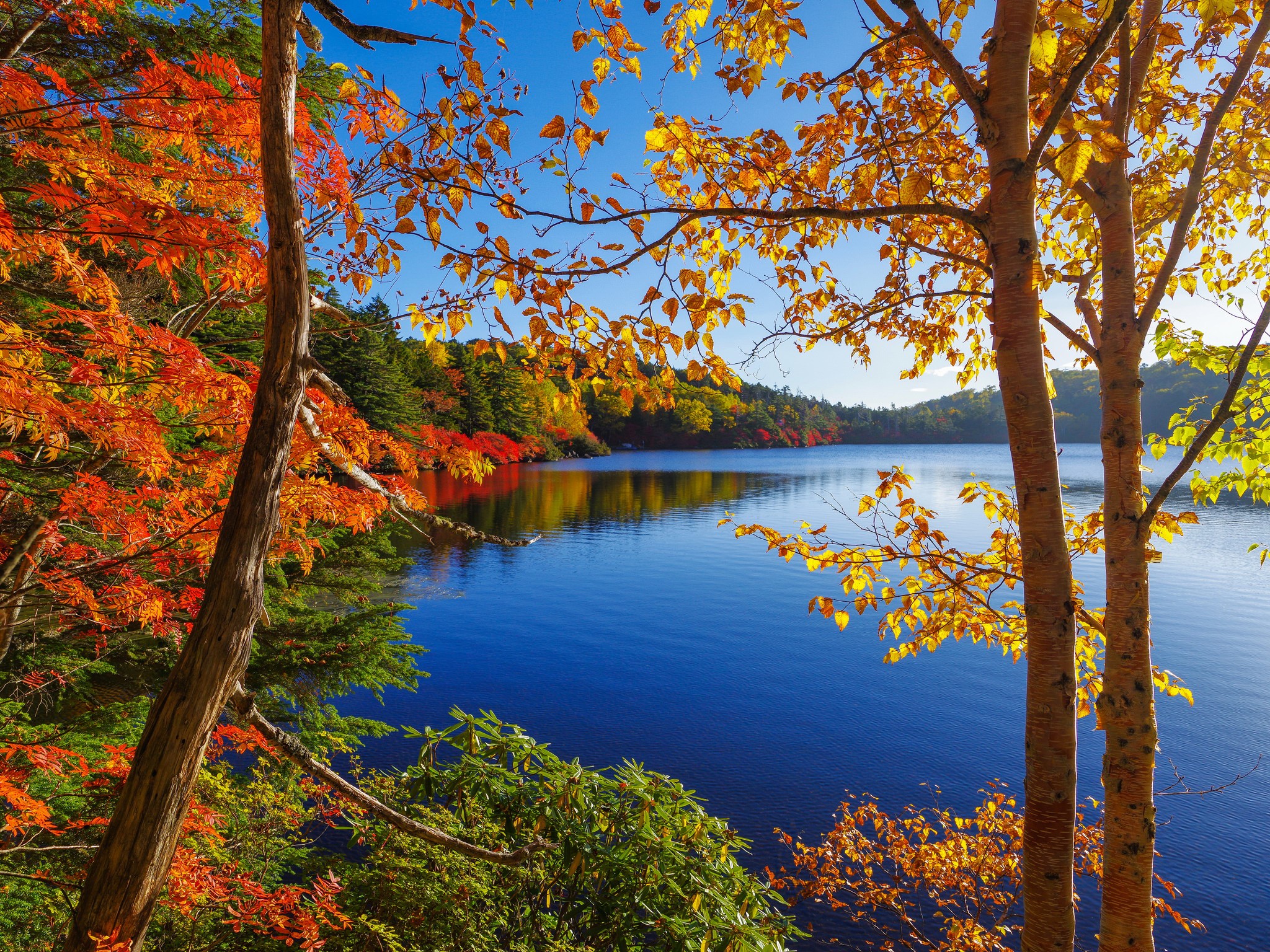 Autumn lake with colorful trees and reflections HD Wallpaper