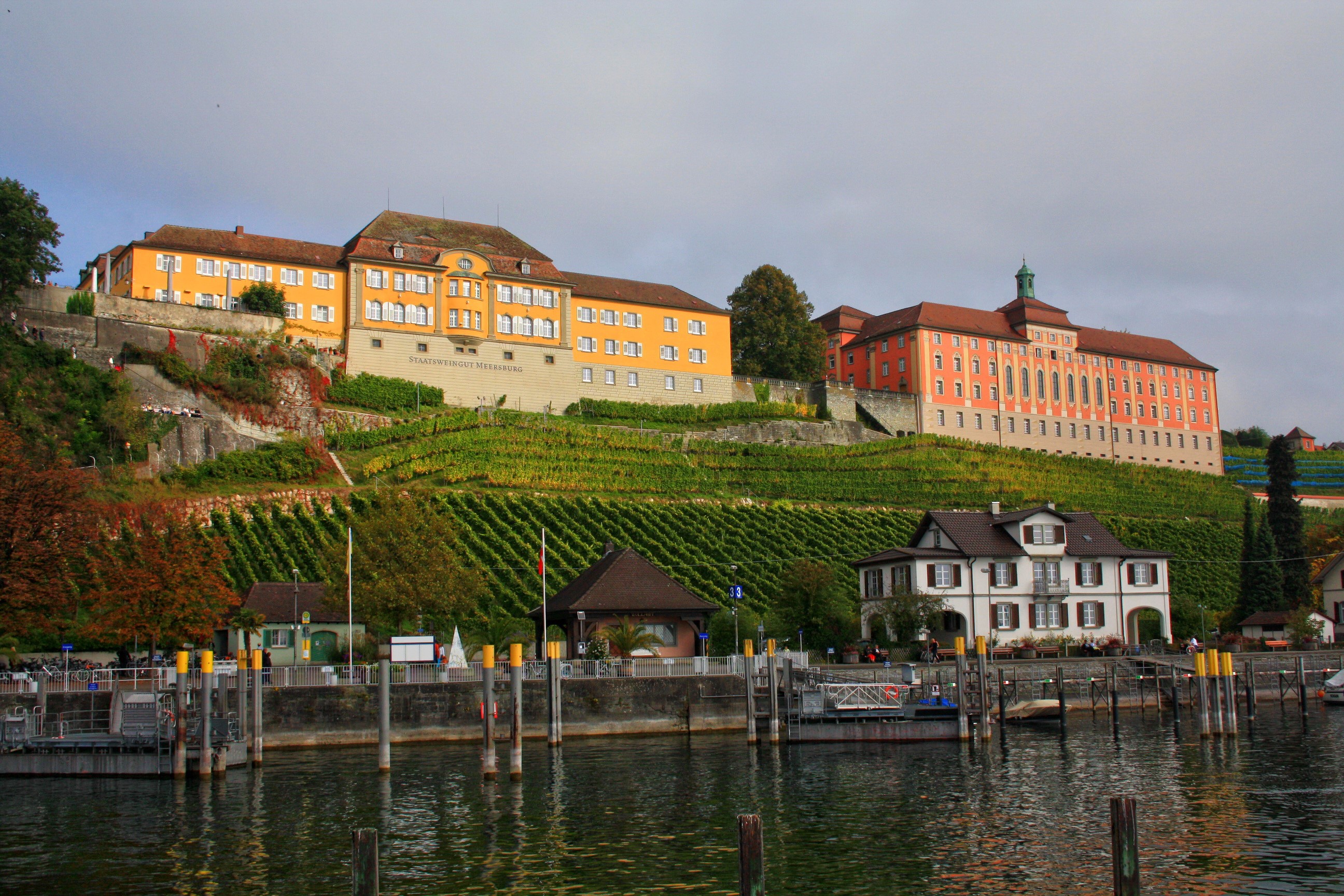 Meersburg, Germany: Buildings on a Vine-Covered Hillside Overlooking Water HD Wallpaper