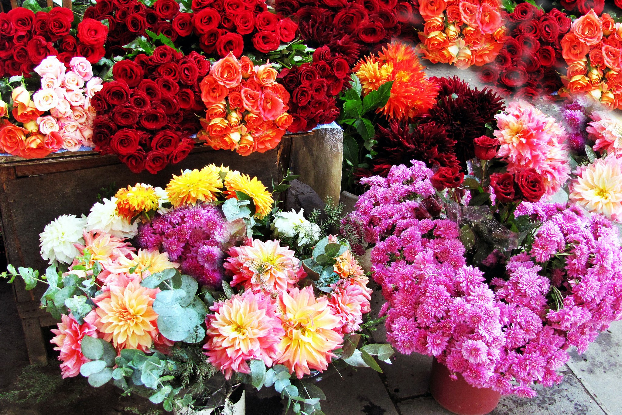 Roses, Dahlias, and Chrysanthemums at a Flower Stand HD Wallpaper
