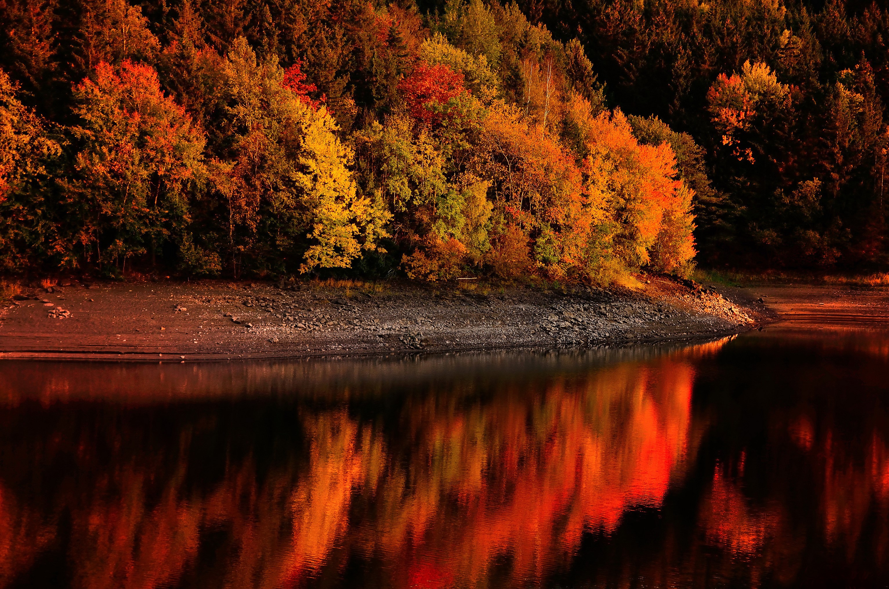 Autumn forest reflected in a calm lake HD Wallpaper
