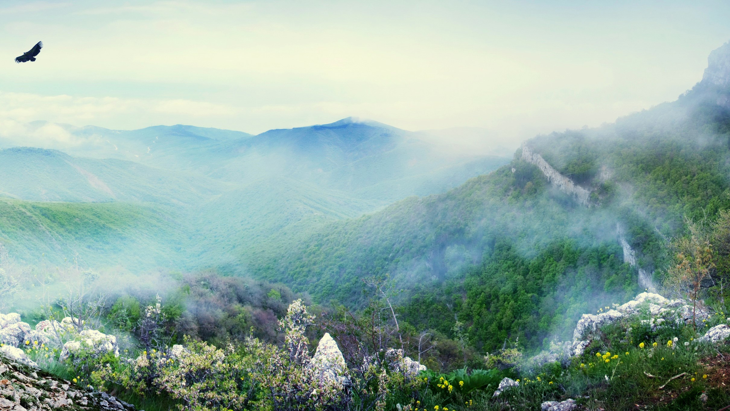 Misty Mountains Scenery with Eagle HD Wallpaper