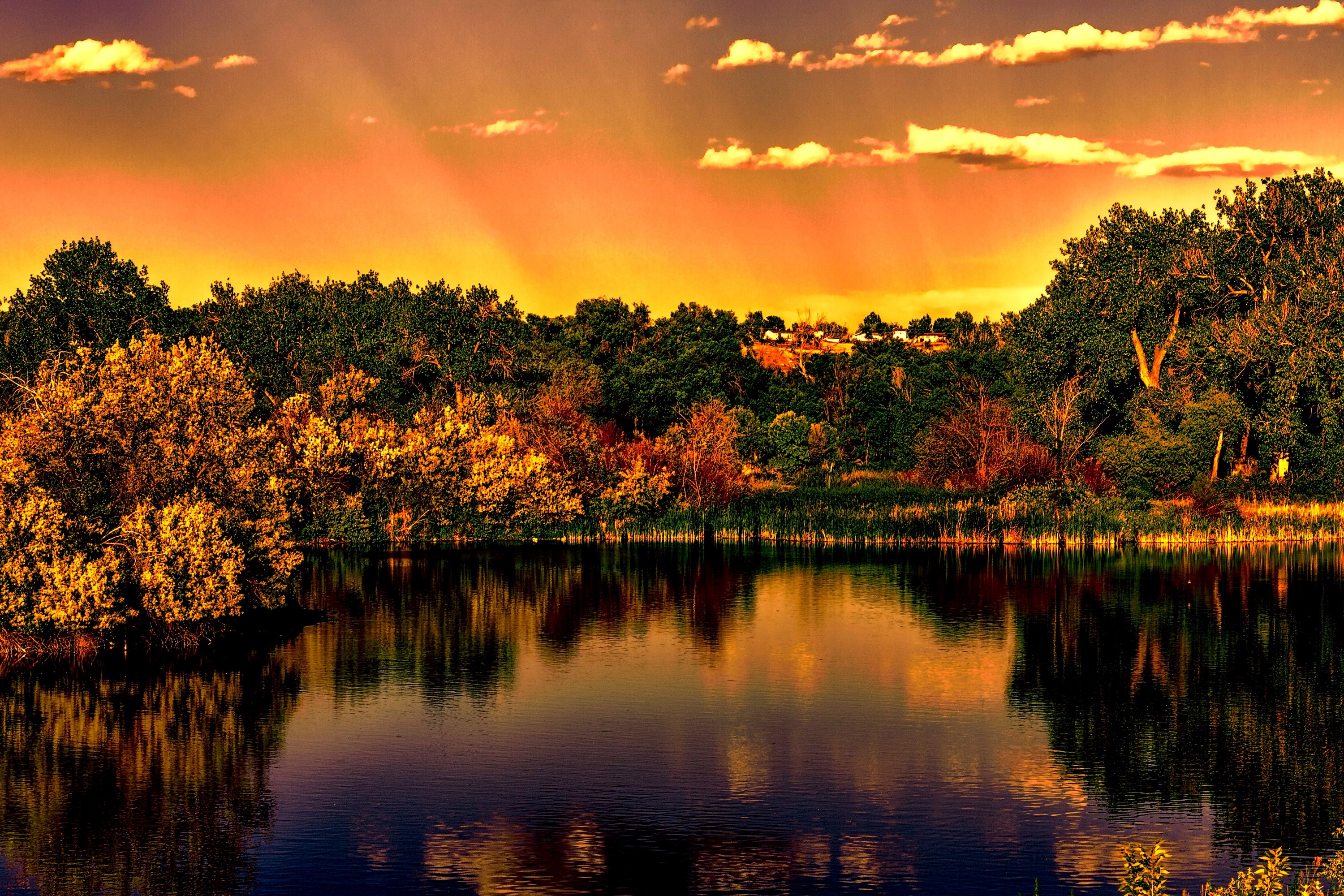 Autumn trees reflected in a lake at sunset HD Wallpaper