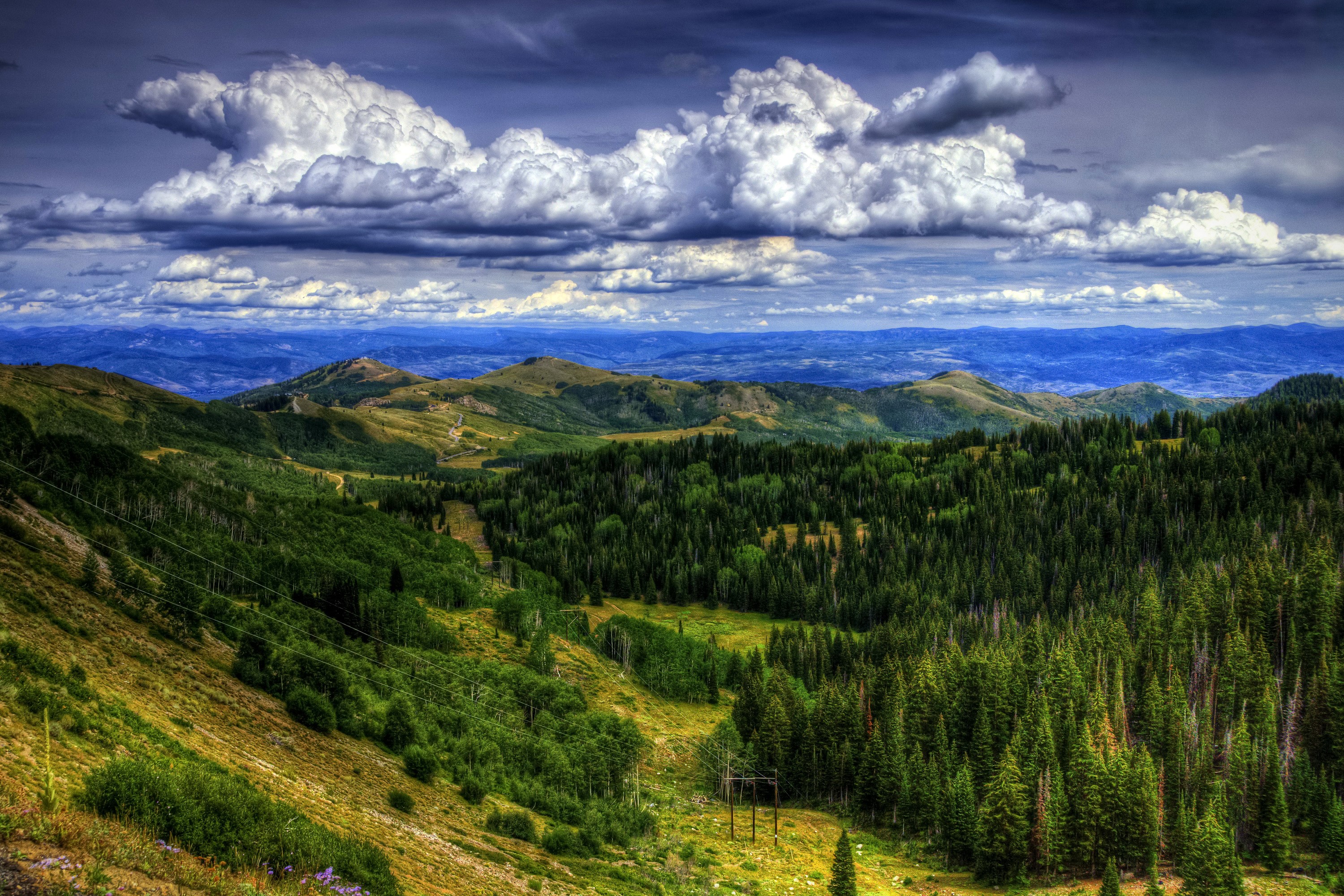 Mountains and Forests in Utah, USA HD Wallpaper