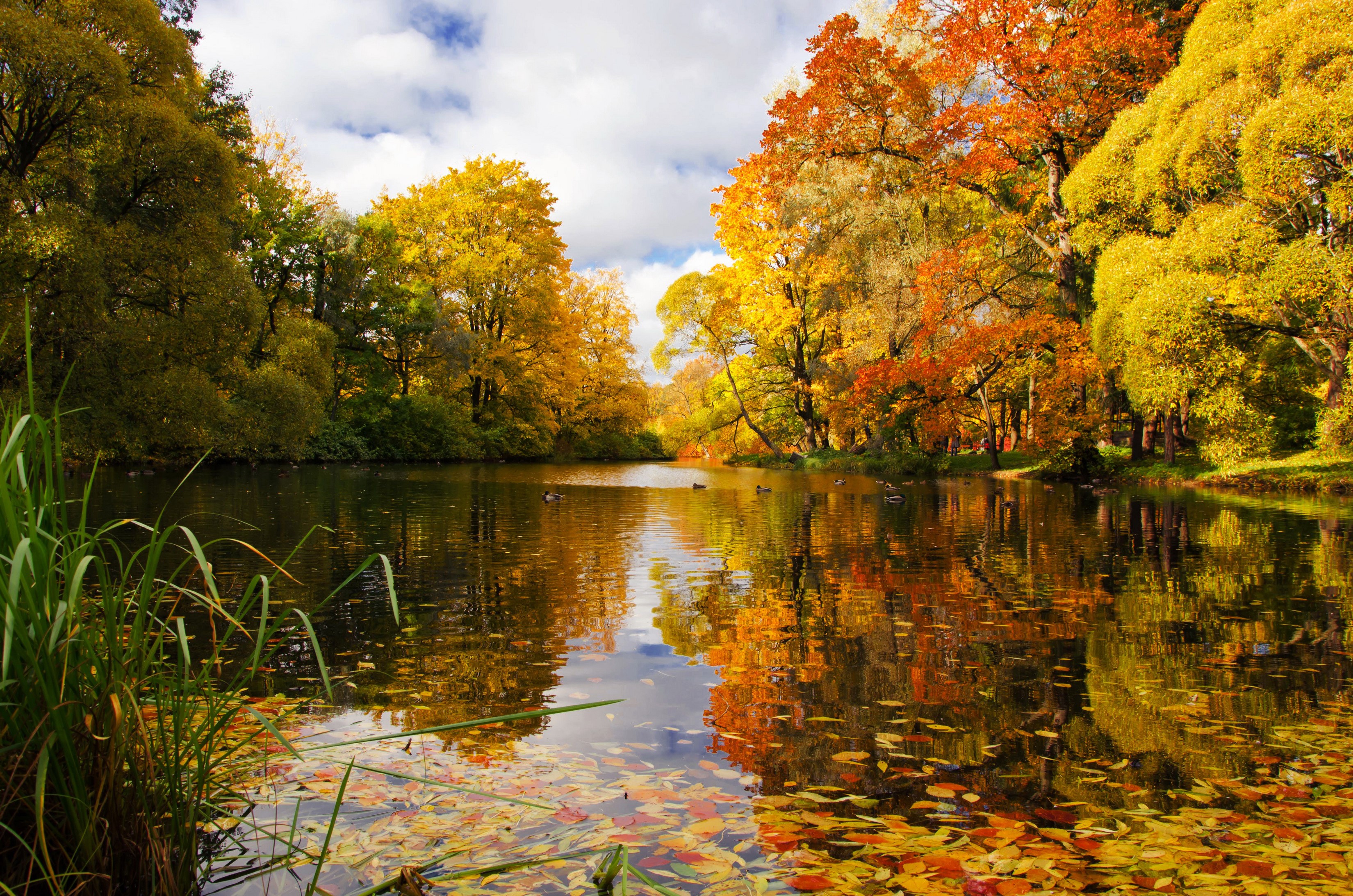 Autumn park with a lake in St. Petersburg, Russia HD Wallpaper
