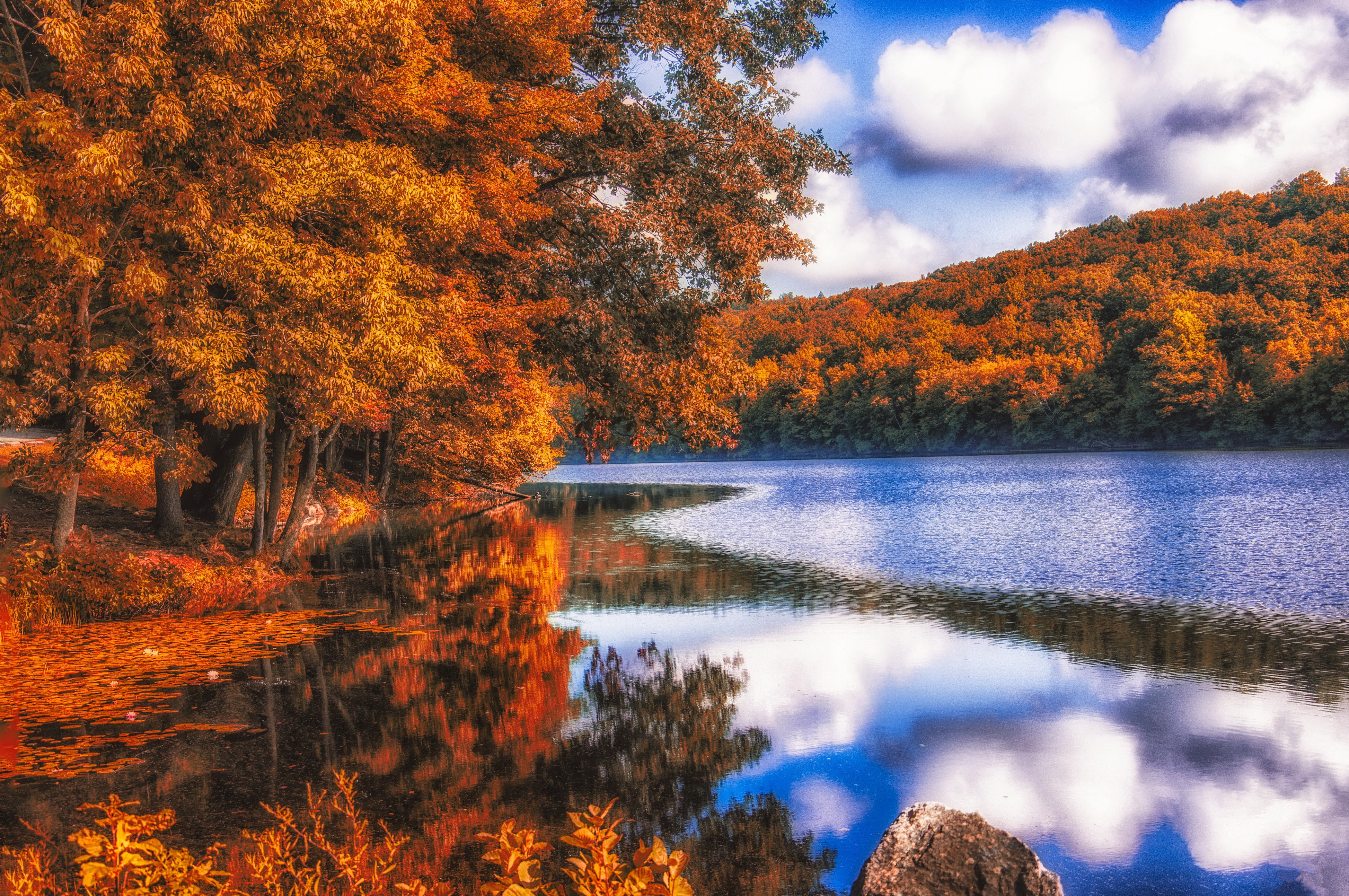 Autumn lake with trees and reflections HD Wallpaper