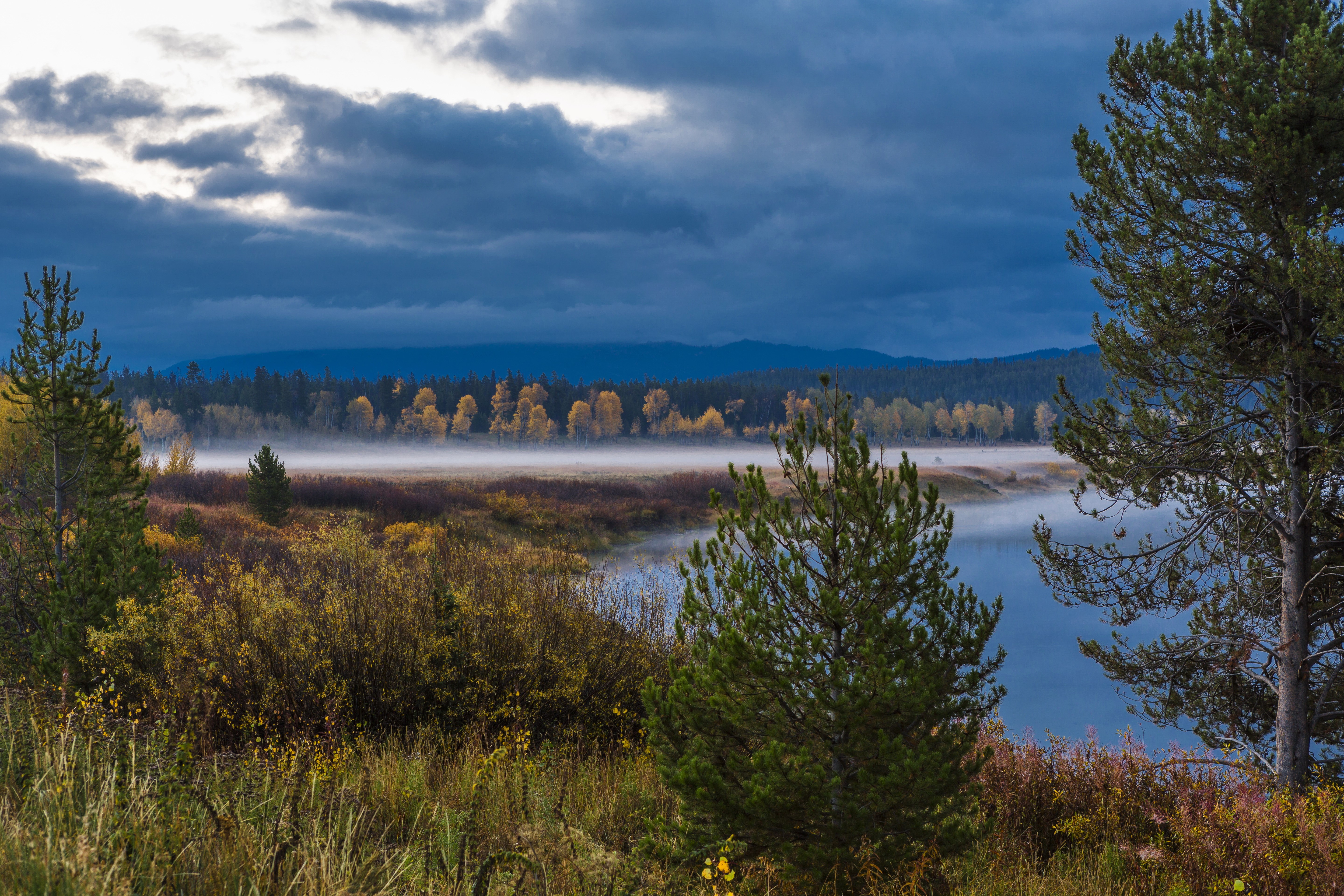 Misty Lake and Autumn Trees in Grand Teton, Wyoming HD Wallpaper