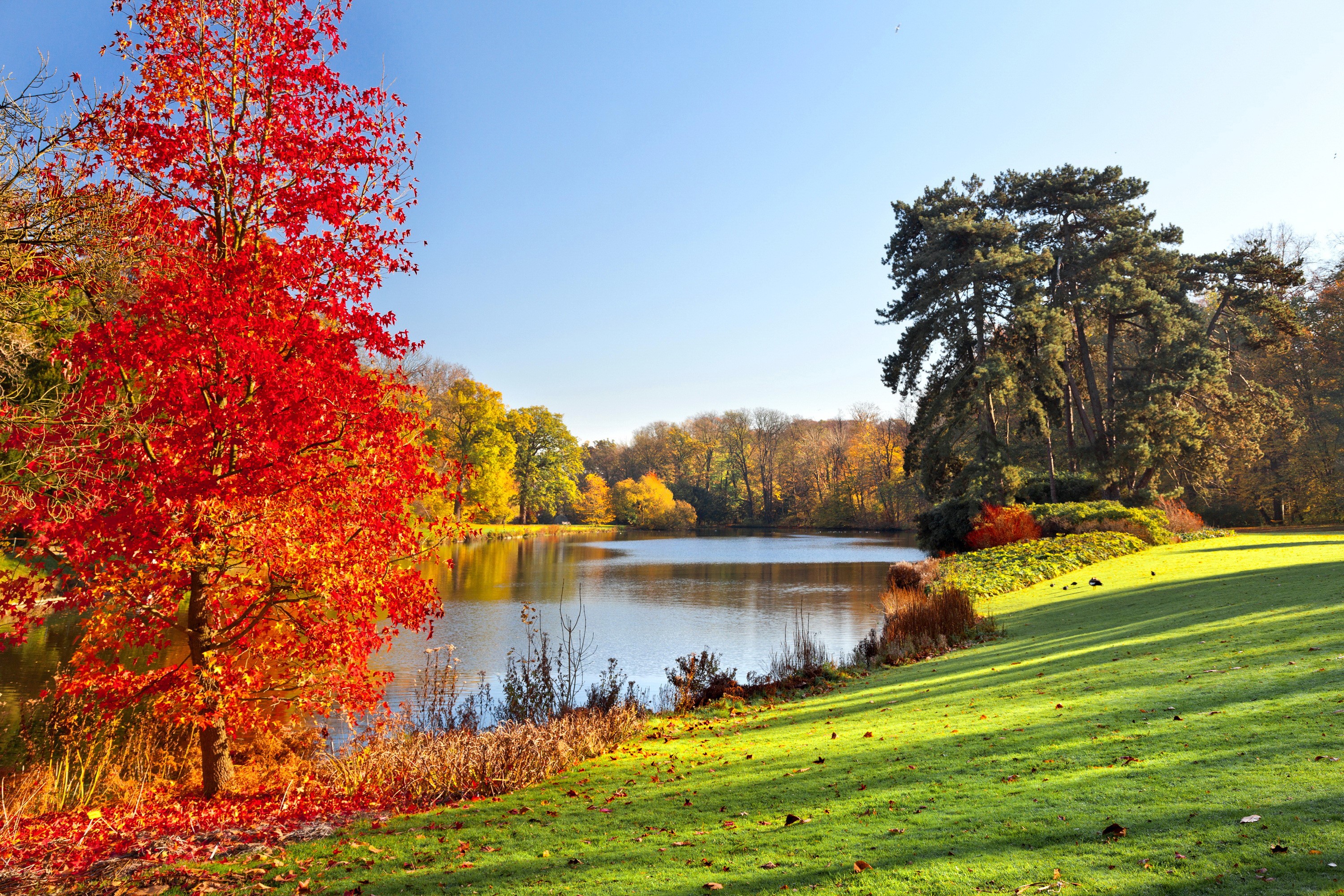 Autumn park with lake and trees HD Wallpaper