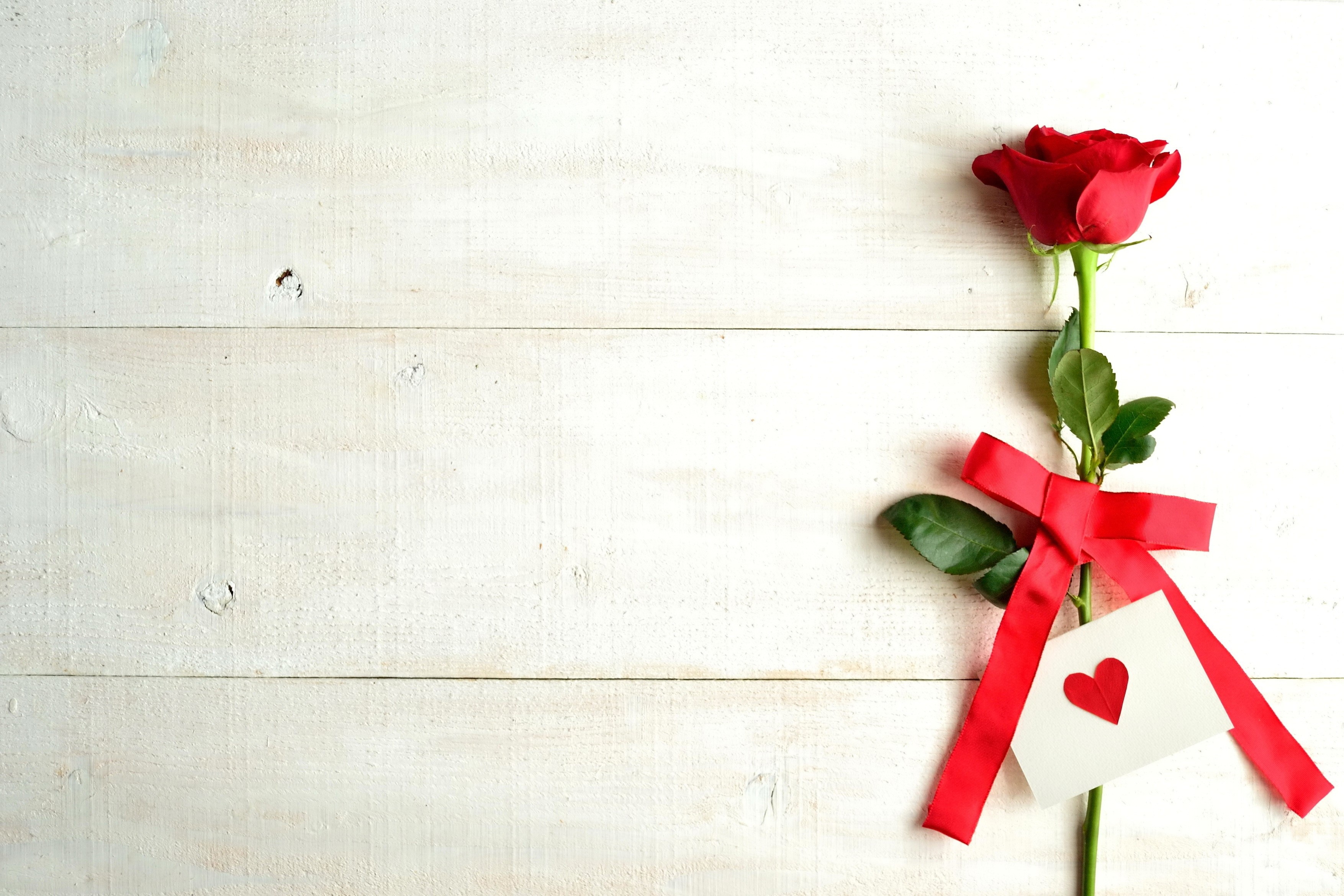 Red rose with a red bow and heart card HD Wallpaper