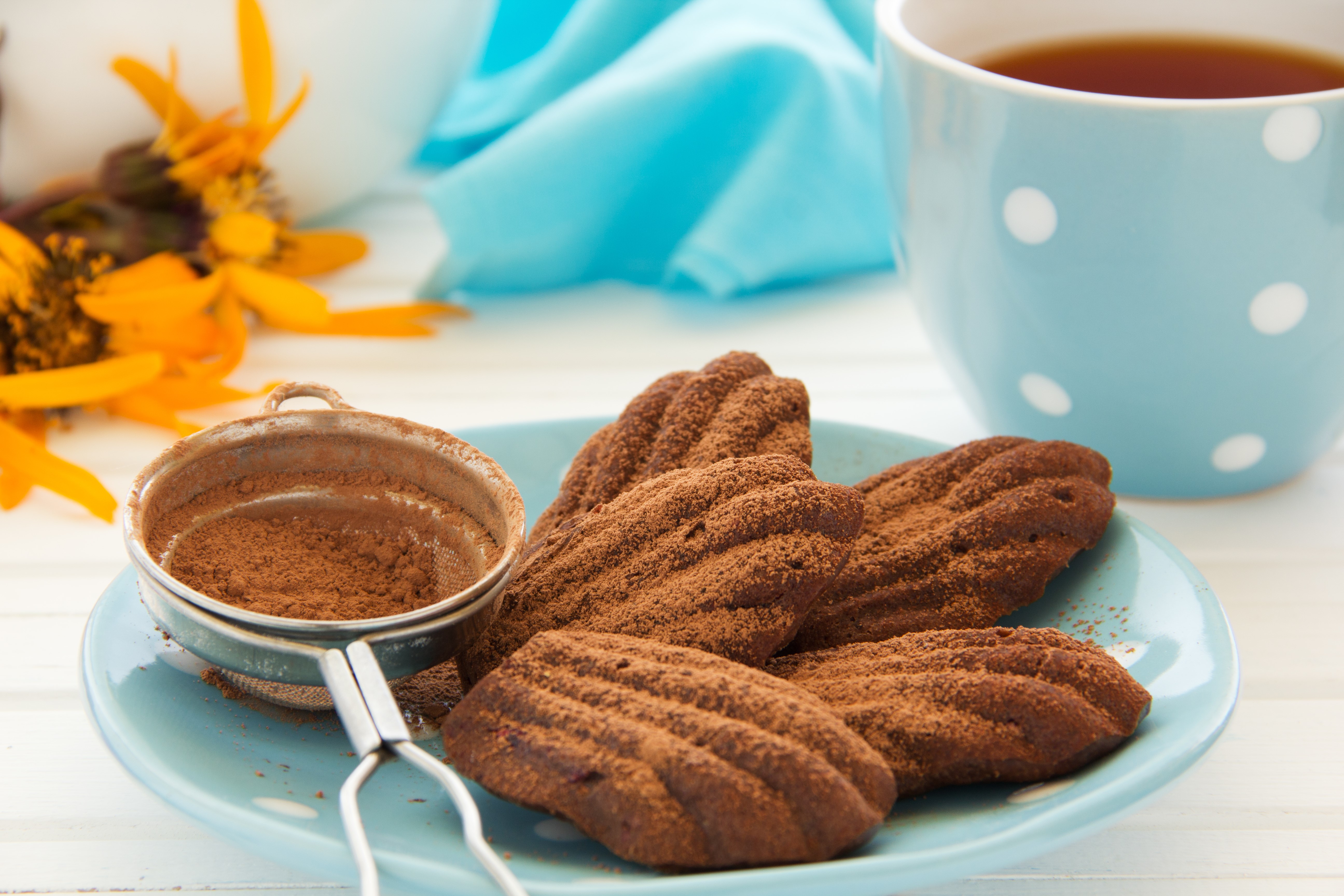 Chocolate Madeleines on a Plate with Cocoa Powder HD Wallpaper