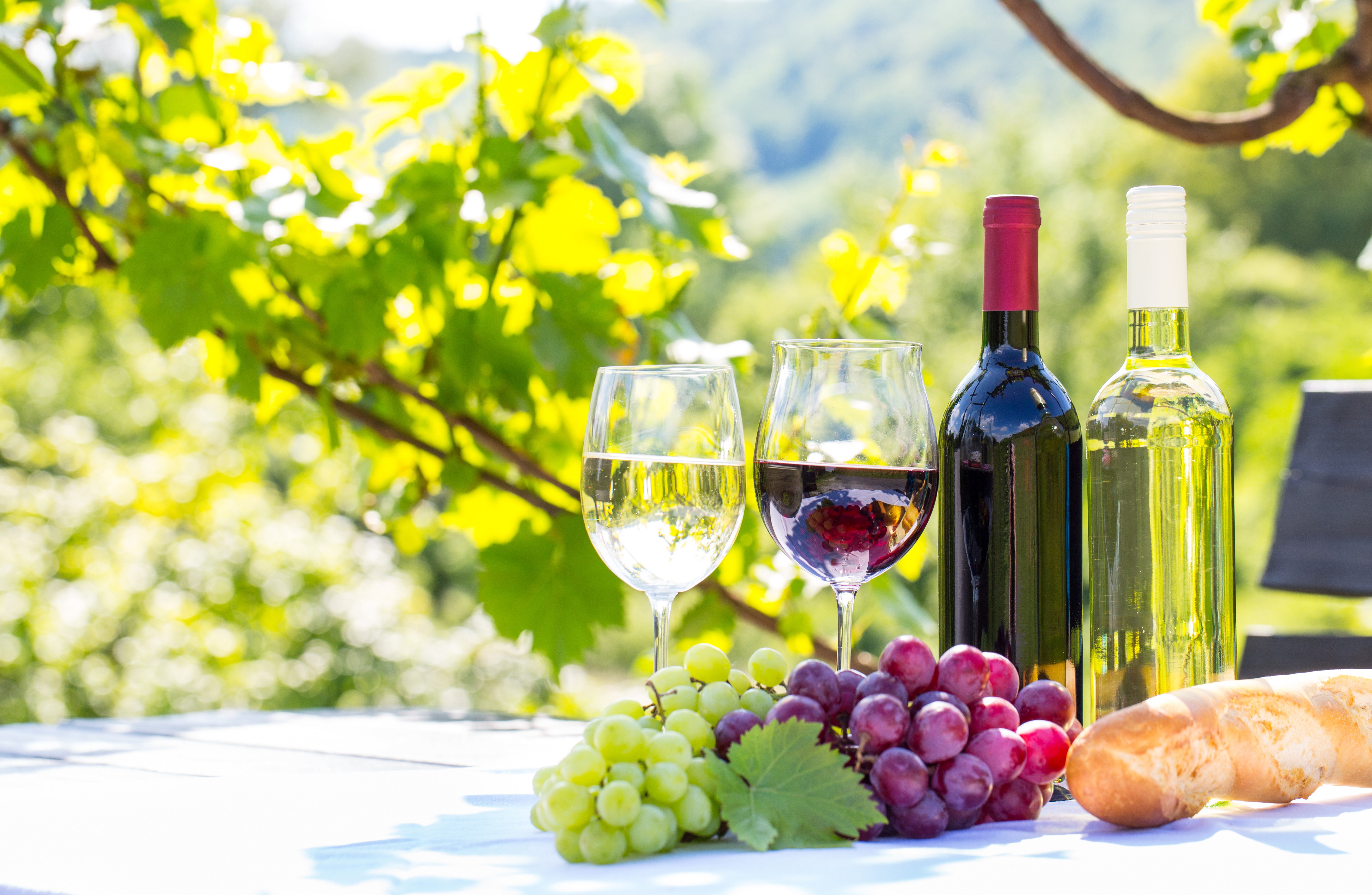 Wine bottles, glasses, grapes, and bread on a table HD Wallpaper