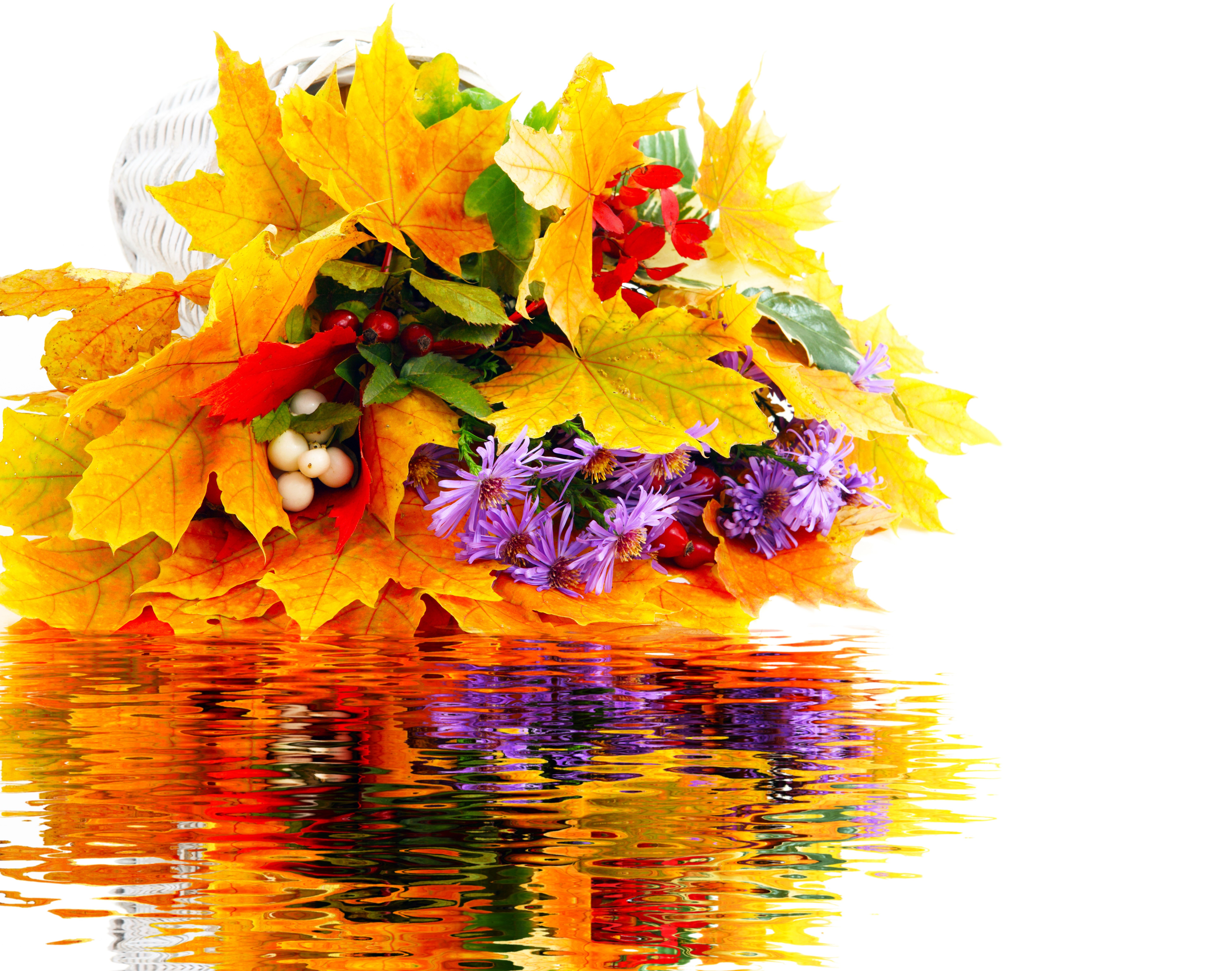 Autumn leaves and flowers in a basket with reflection HD Wallpaper