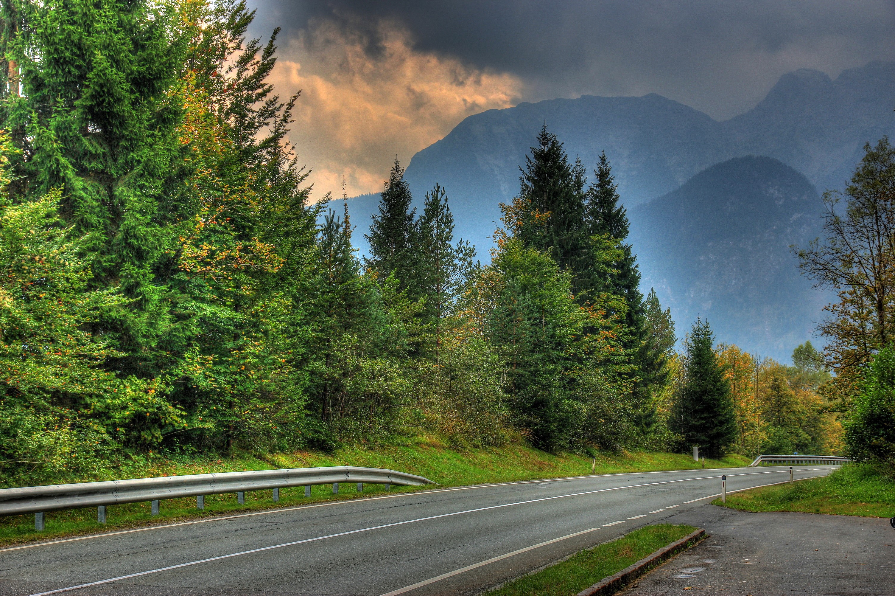 Road through a forest with mountains in Austria HD Wallpaper
