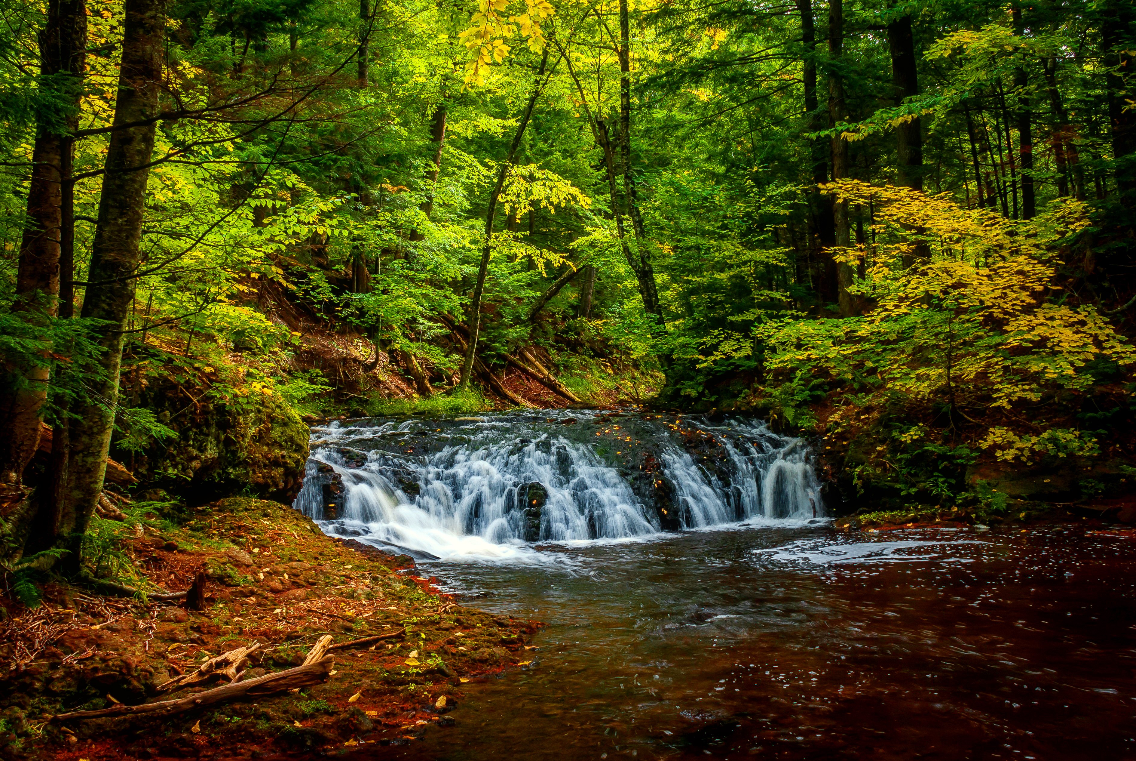 Waterfall in a lush green forest HD Wallpaper