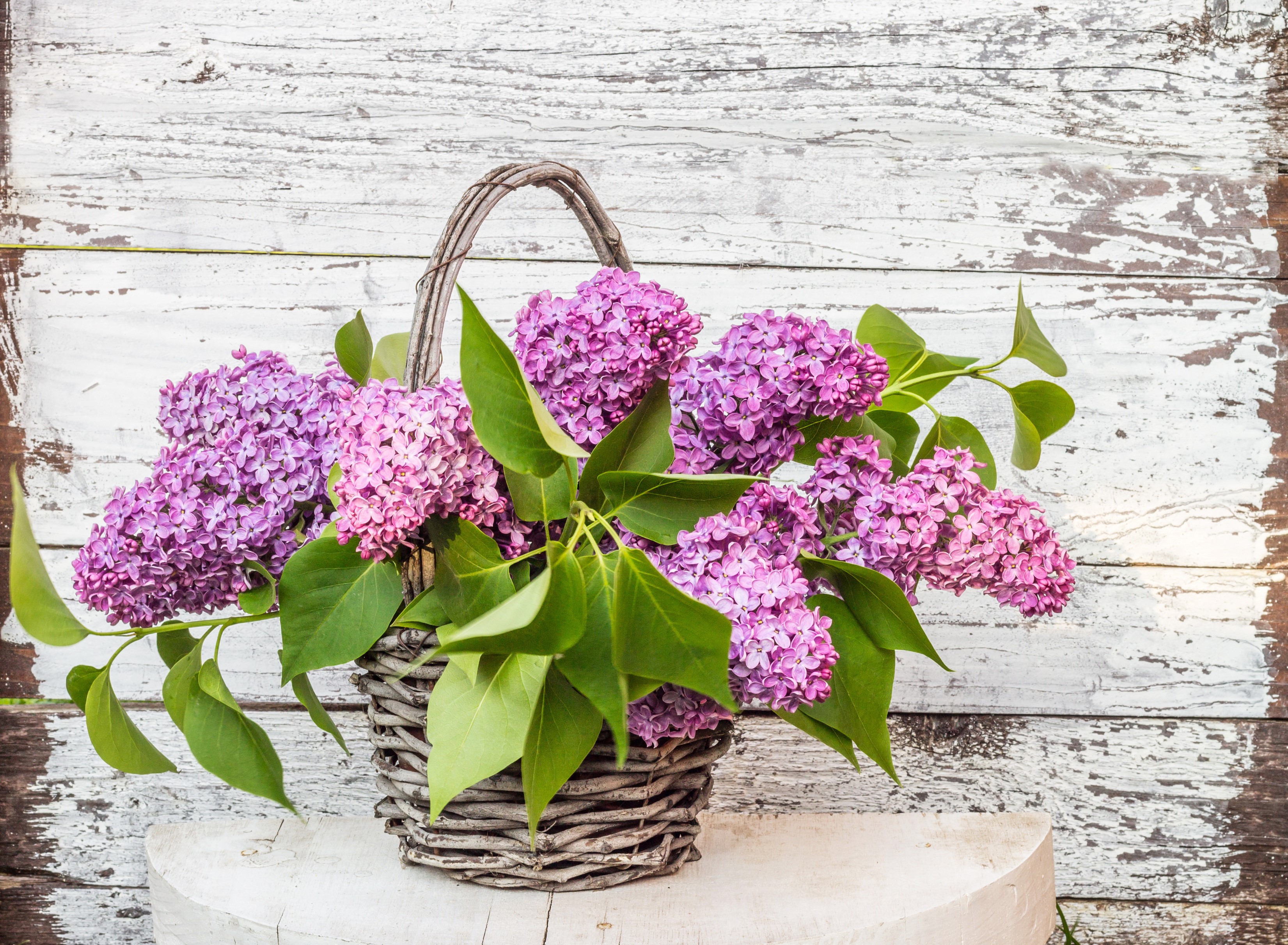 Basket of purple lilacs on a wooden background HD Wallpaper