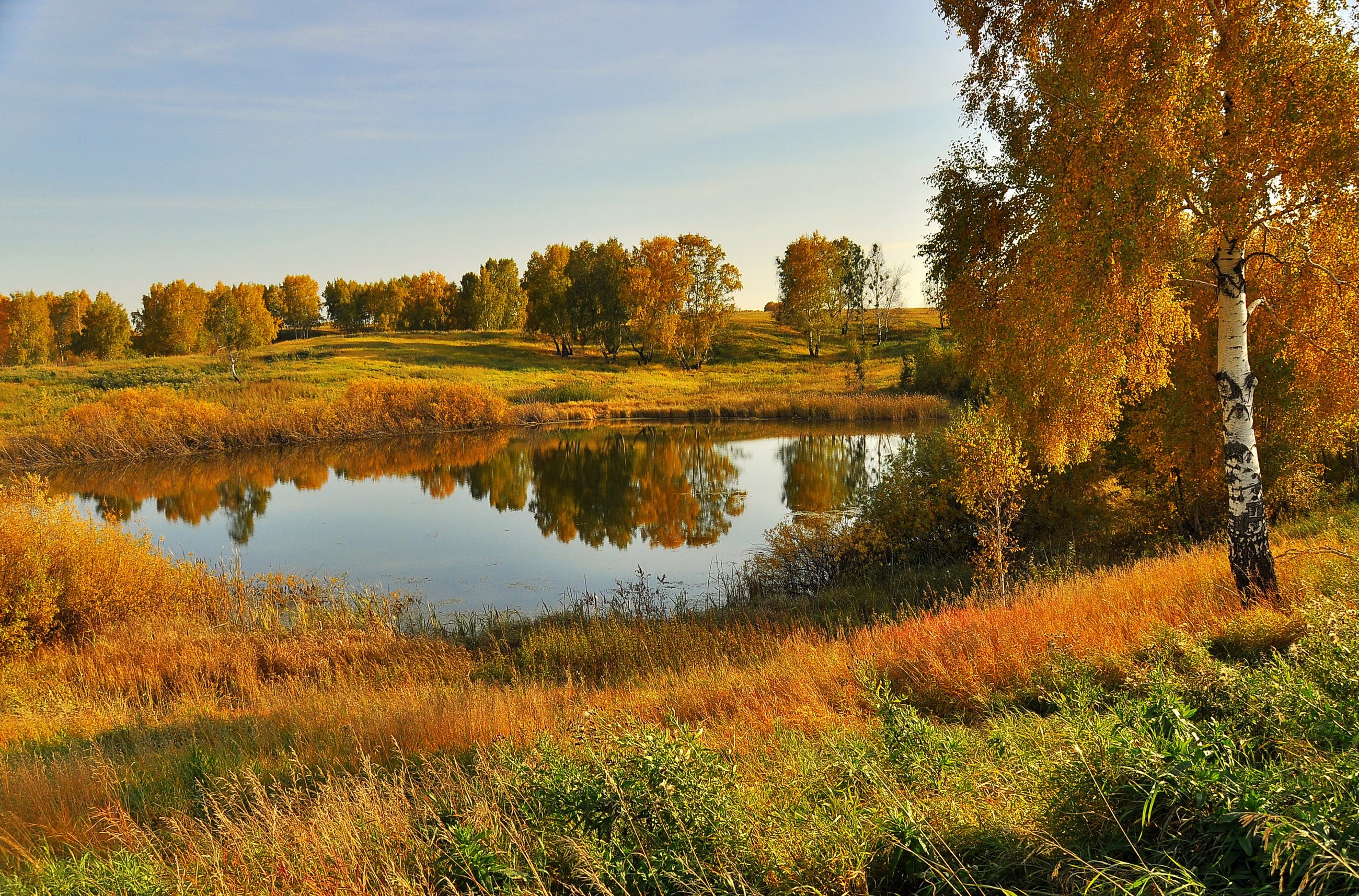 Autumn pond with trees reflecting in the water HD Wallpaper