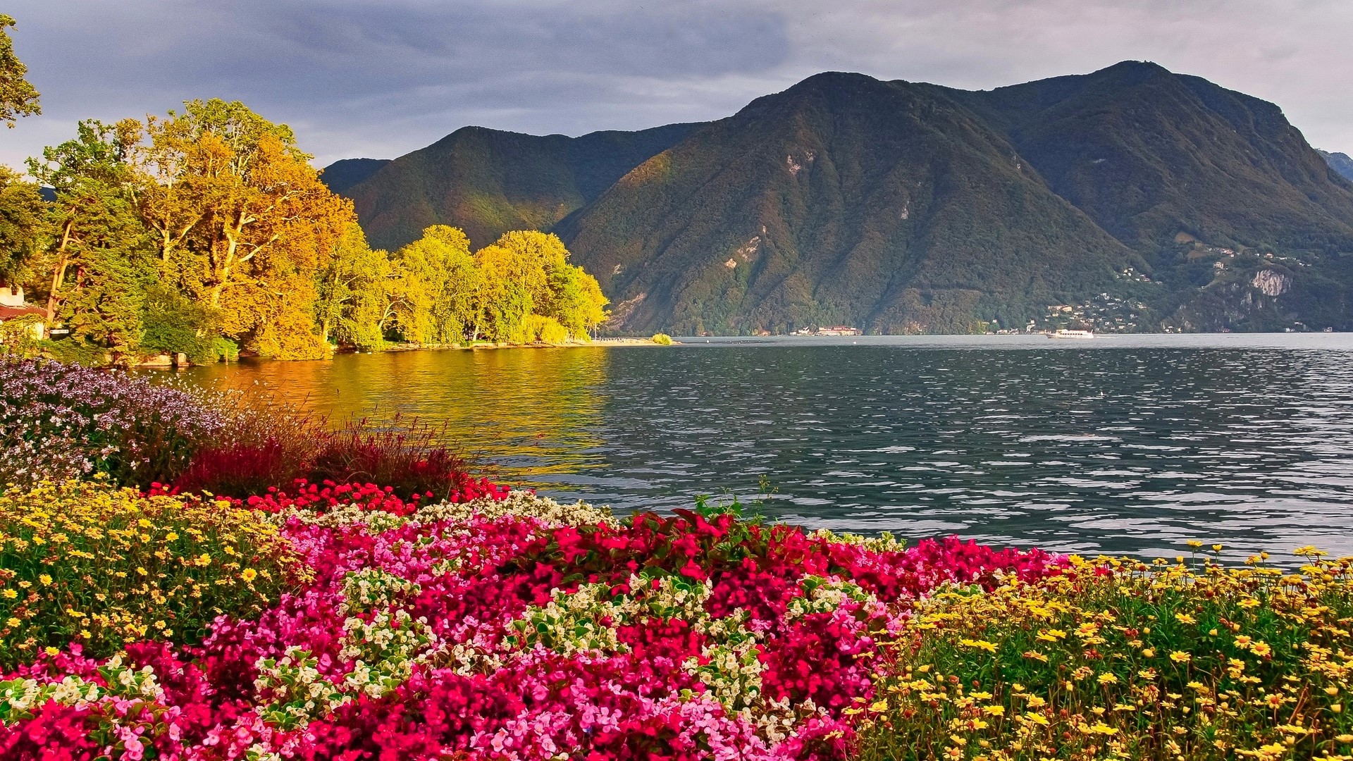 Colorful flowers by a lake with mountains HD Wallpaper