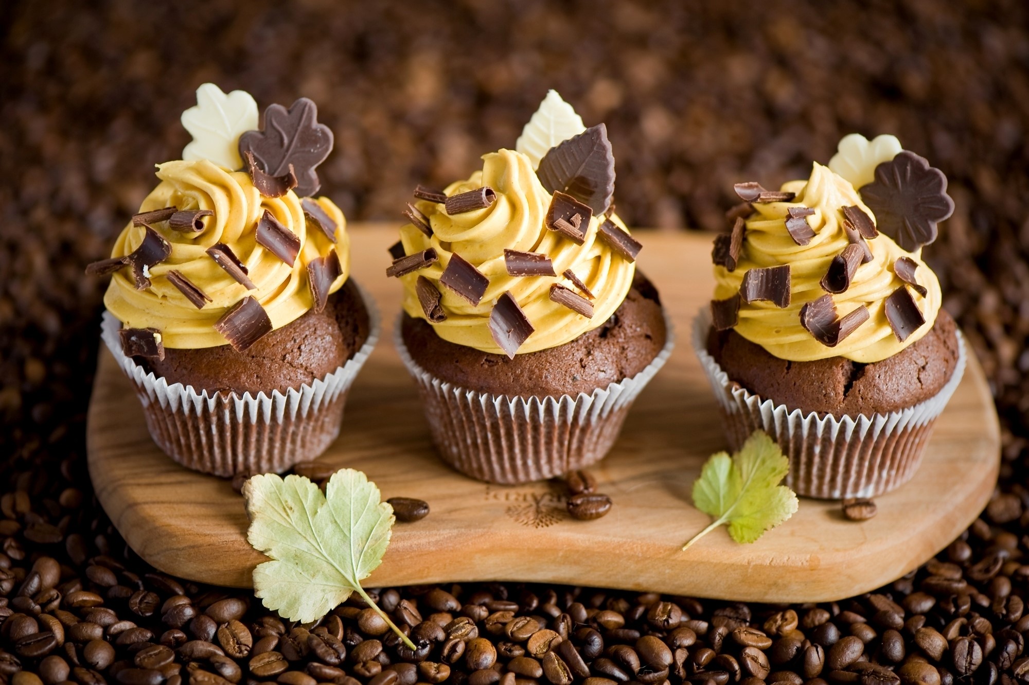 Chocolate cupcakes with caramel frosting and chocolate shavings HD Wallpaper