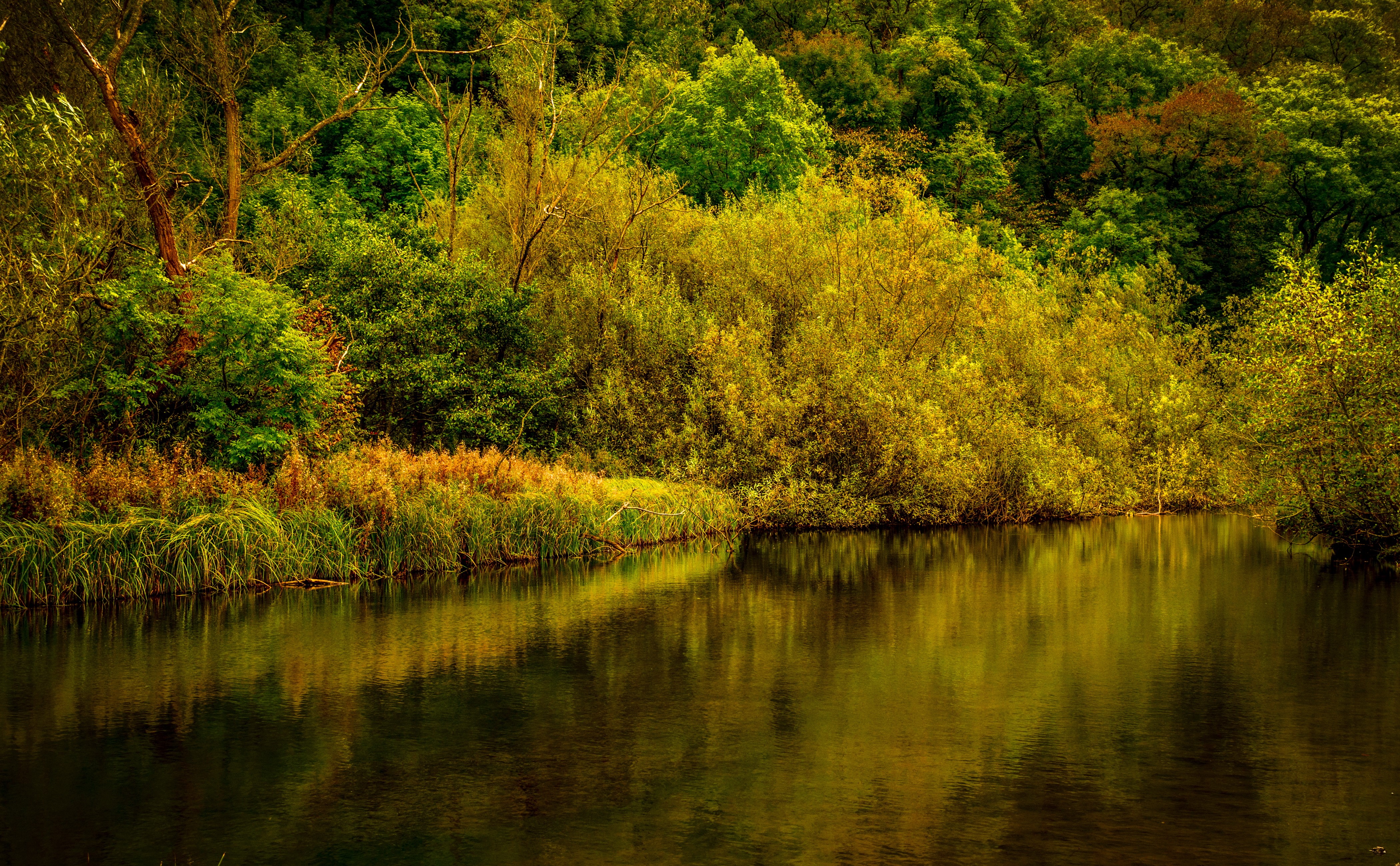 Autumn trees reflected in a river in Derbyshire, UK HD Wallpaper