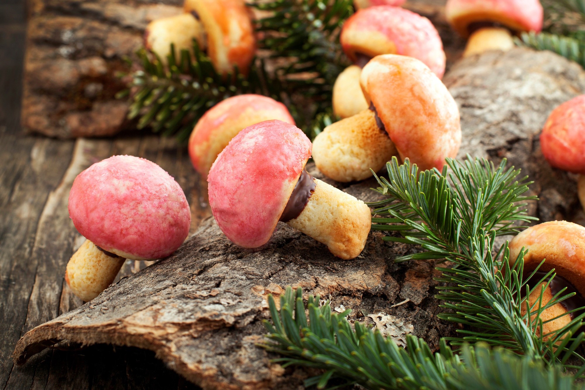 Mushroom cookies on wood with pine needles HD Wallpaper