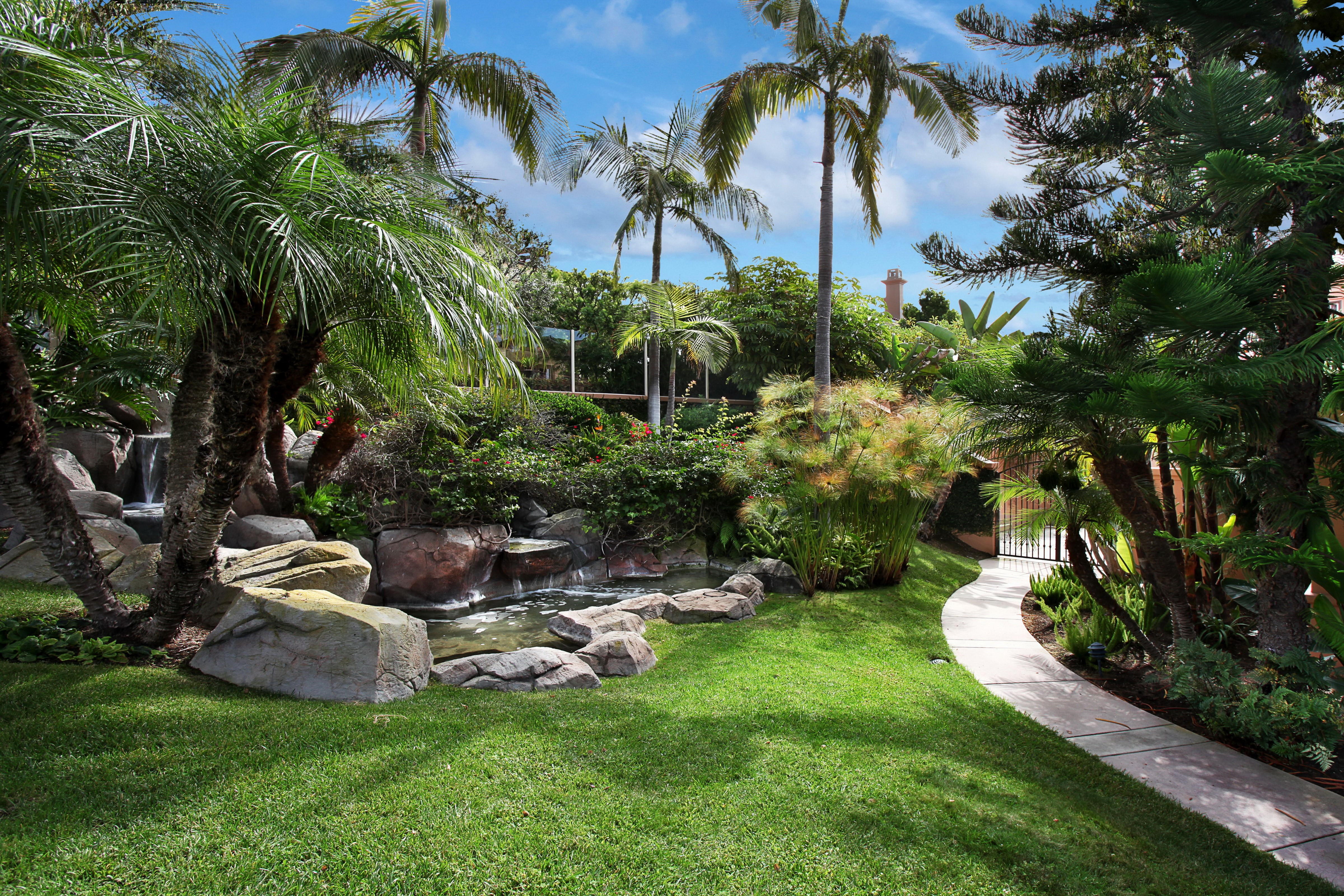 Tropical garden with palm trees and waterfall HD Wallpaper