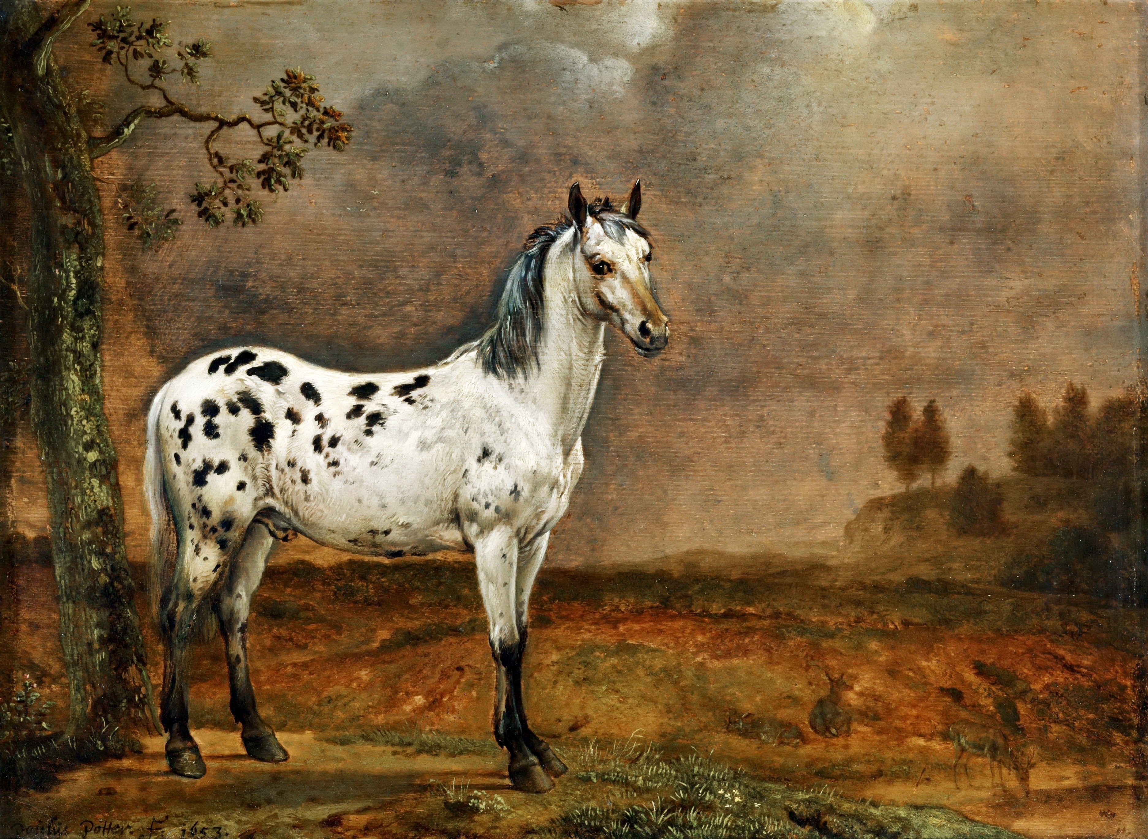 Spotted horse in a landscape by Paulus Potter HD Wallpaper