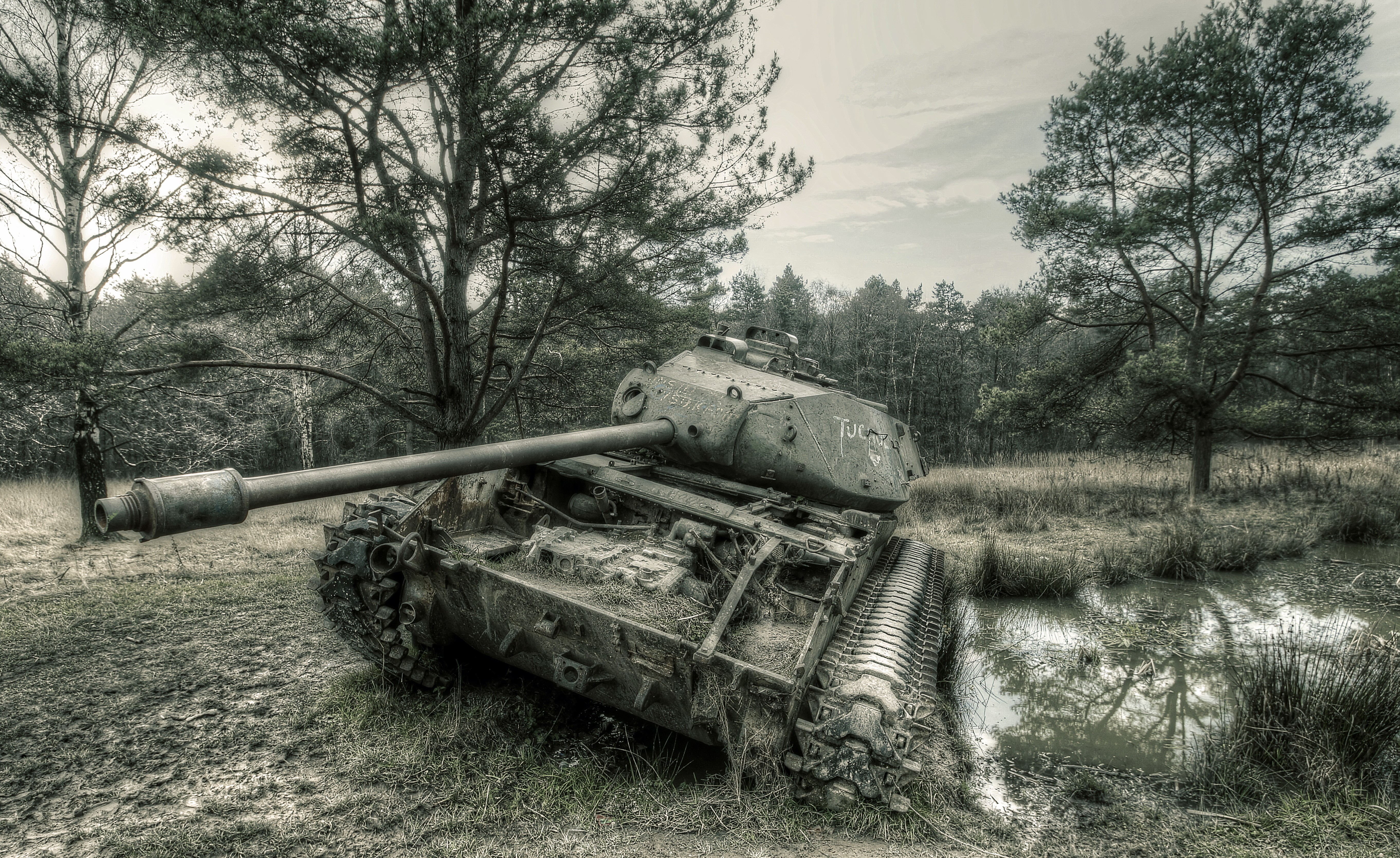 Abandoned Tiger Tank in Forest HD Wallpaper