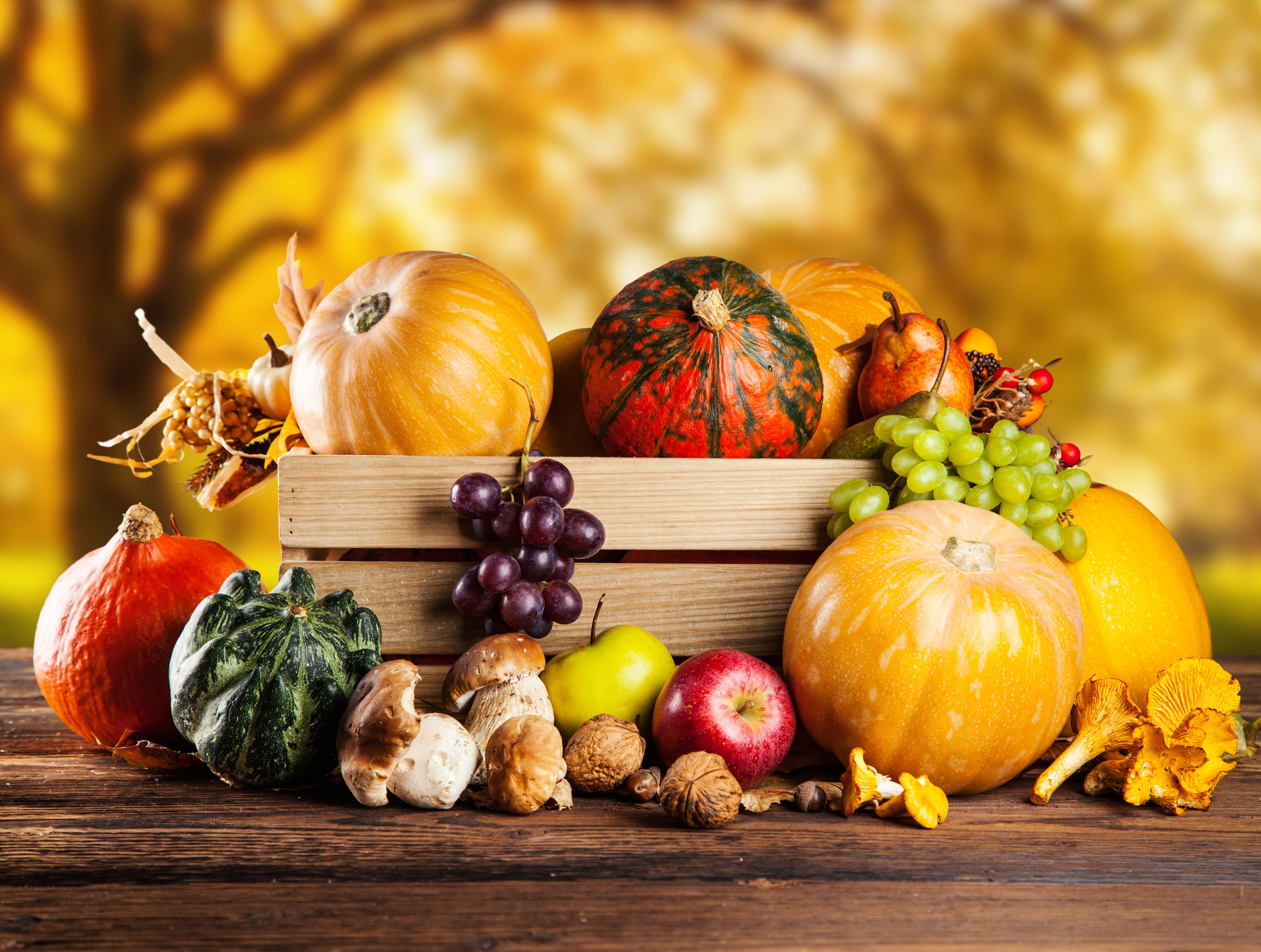 Autumn harvest of pumpkins, mushrooms, grapes, and nuts HD Wallpaper