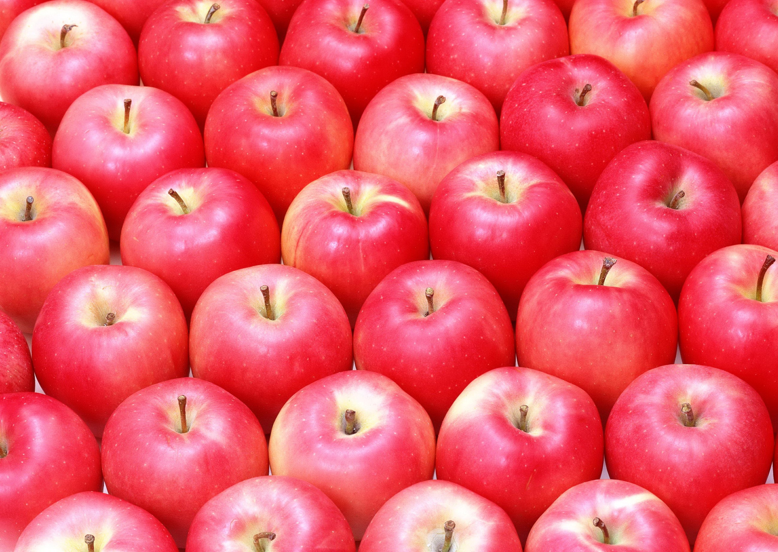 Many red apples arranged in rows HD Wallpaper
