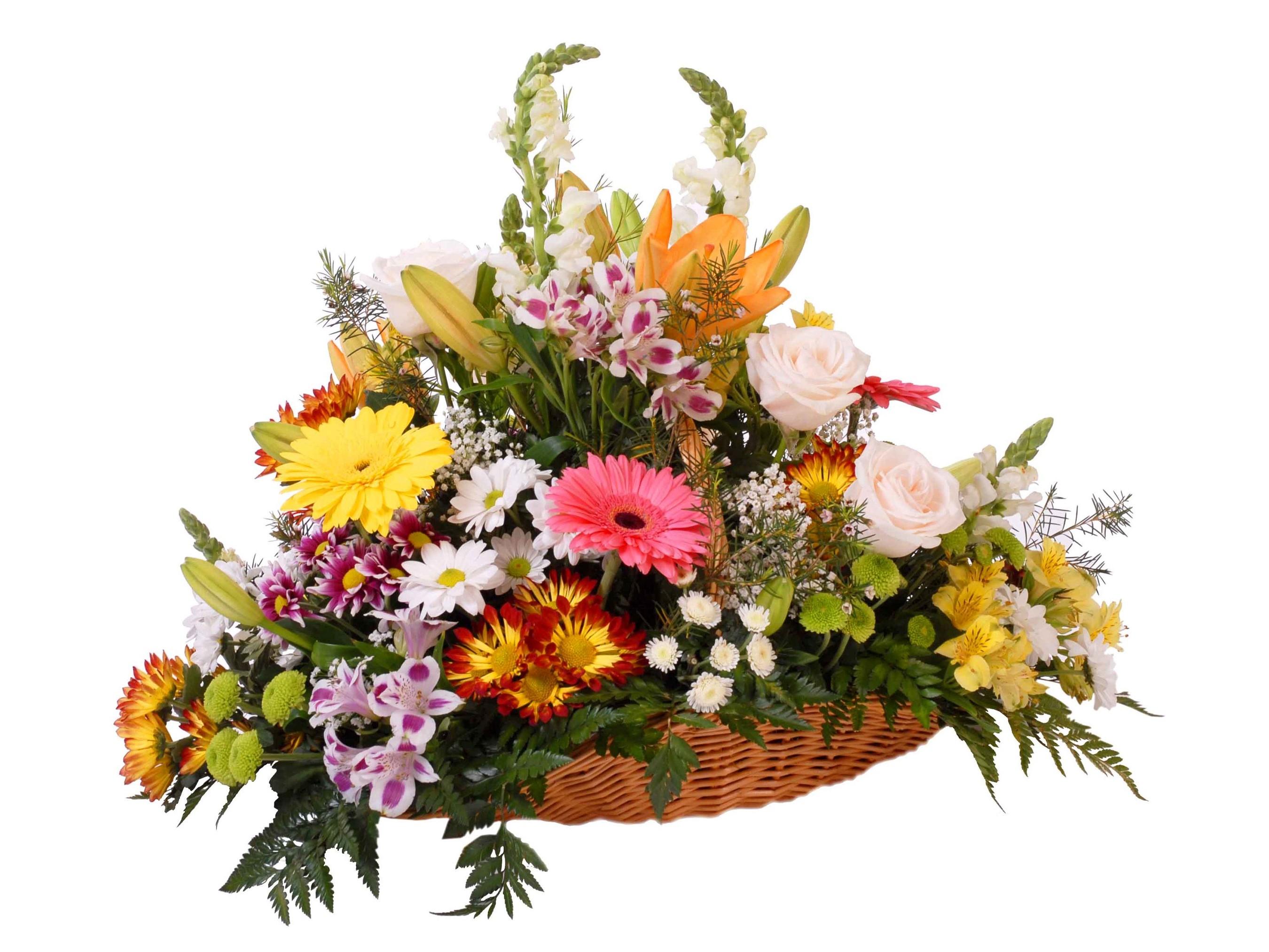 Flower arrangement in a wicker basket with roses, gerberas, and lilies HD Wallpaper