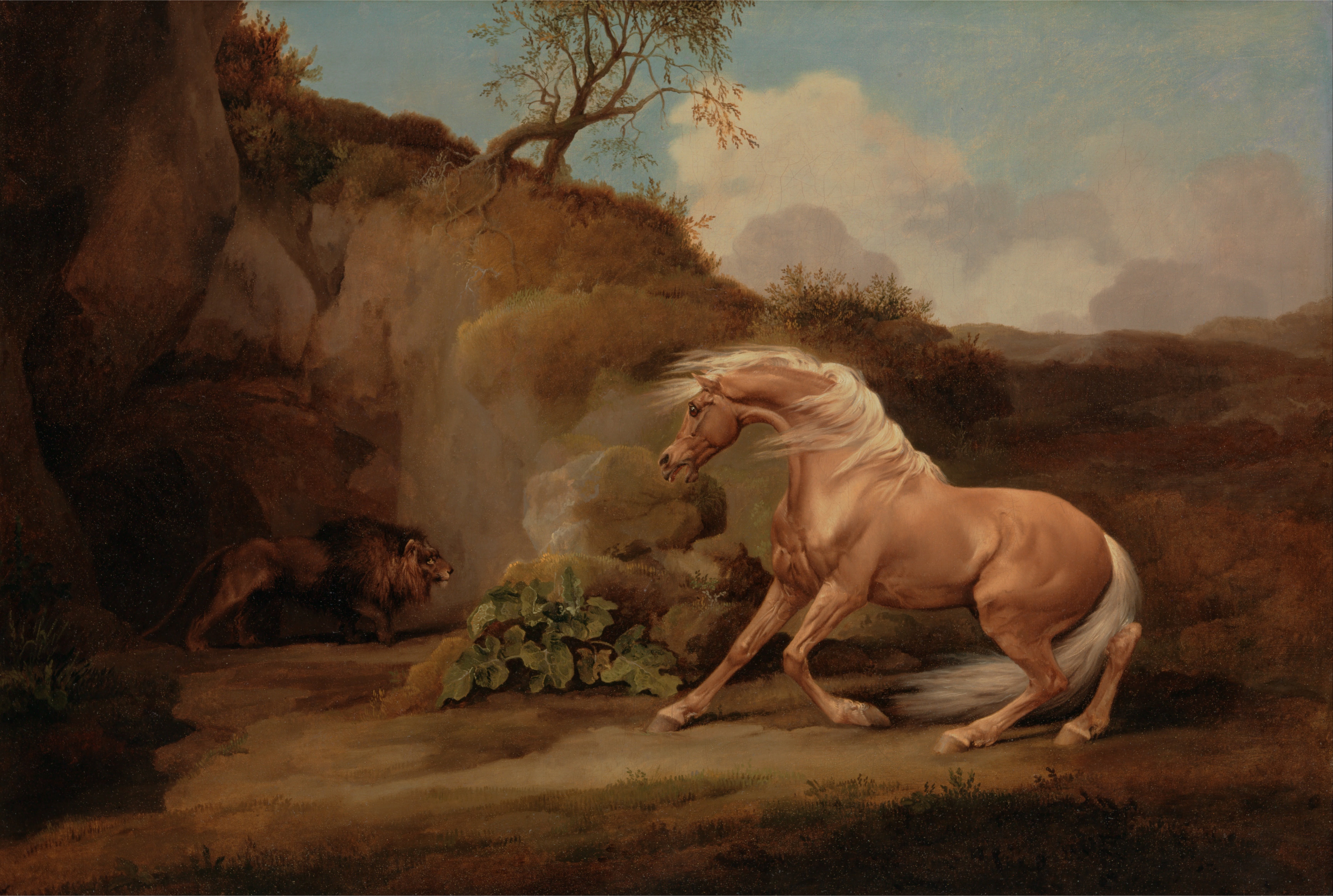 A Horse Frightened by a Lion by George Stubbs HD Wallpaper