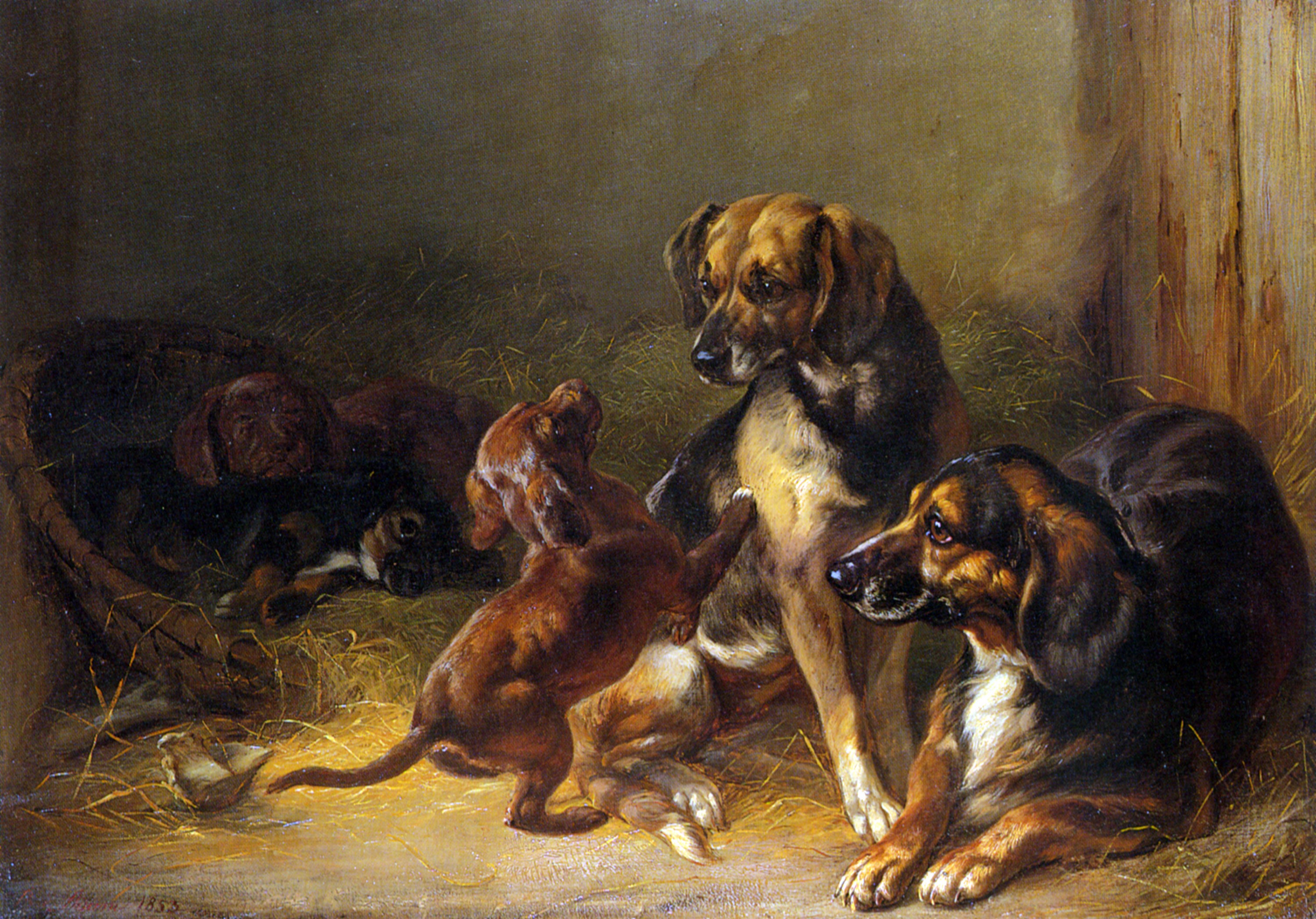 Benno Adam's Dogs and Whelps painting HD Wallpaper