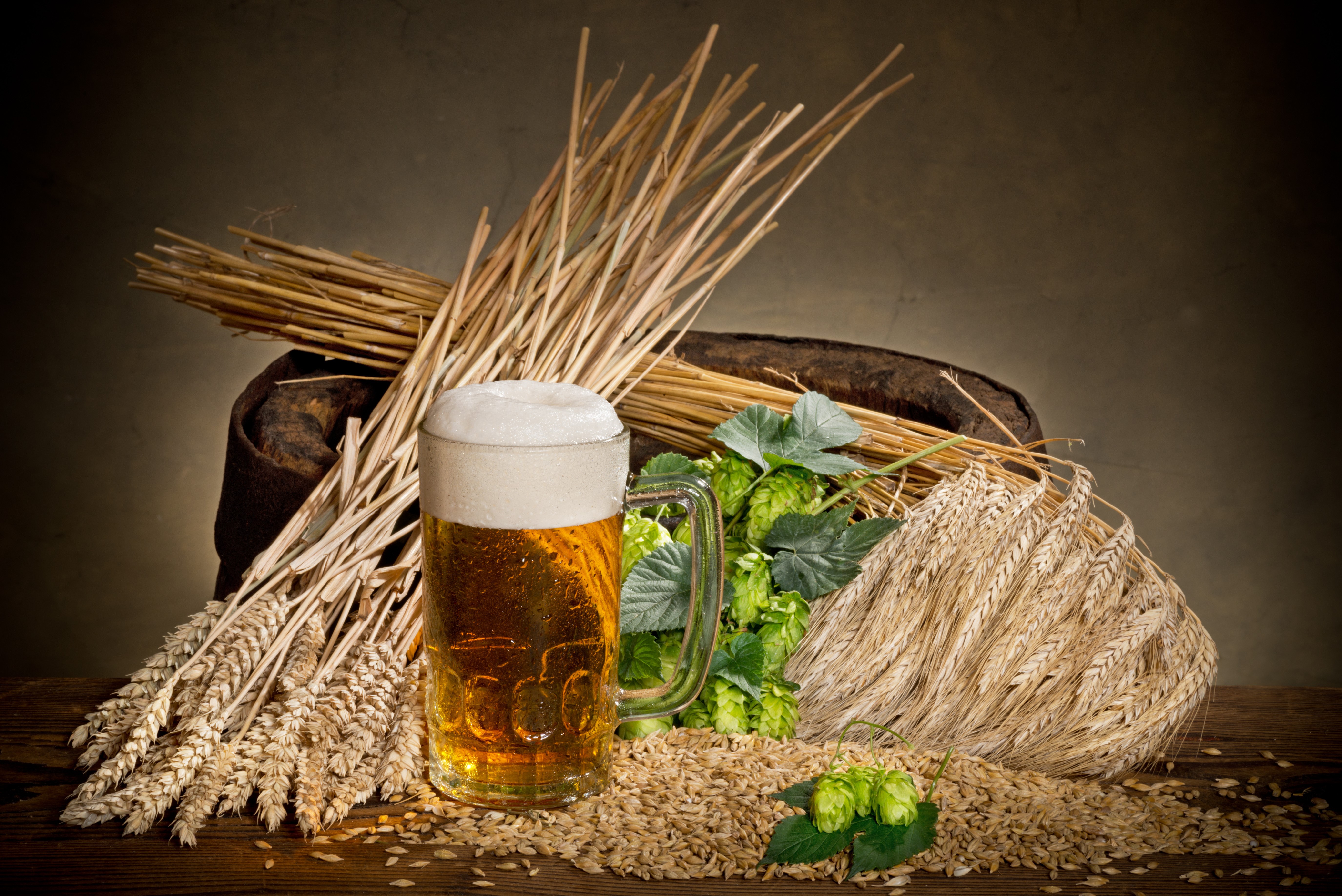 Beer with Hops and Grains HD Wallpaper
