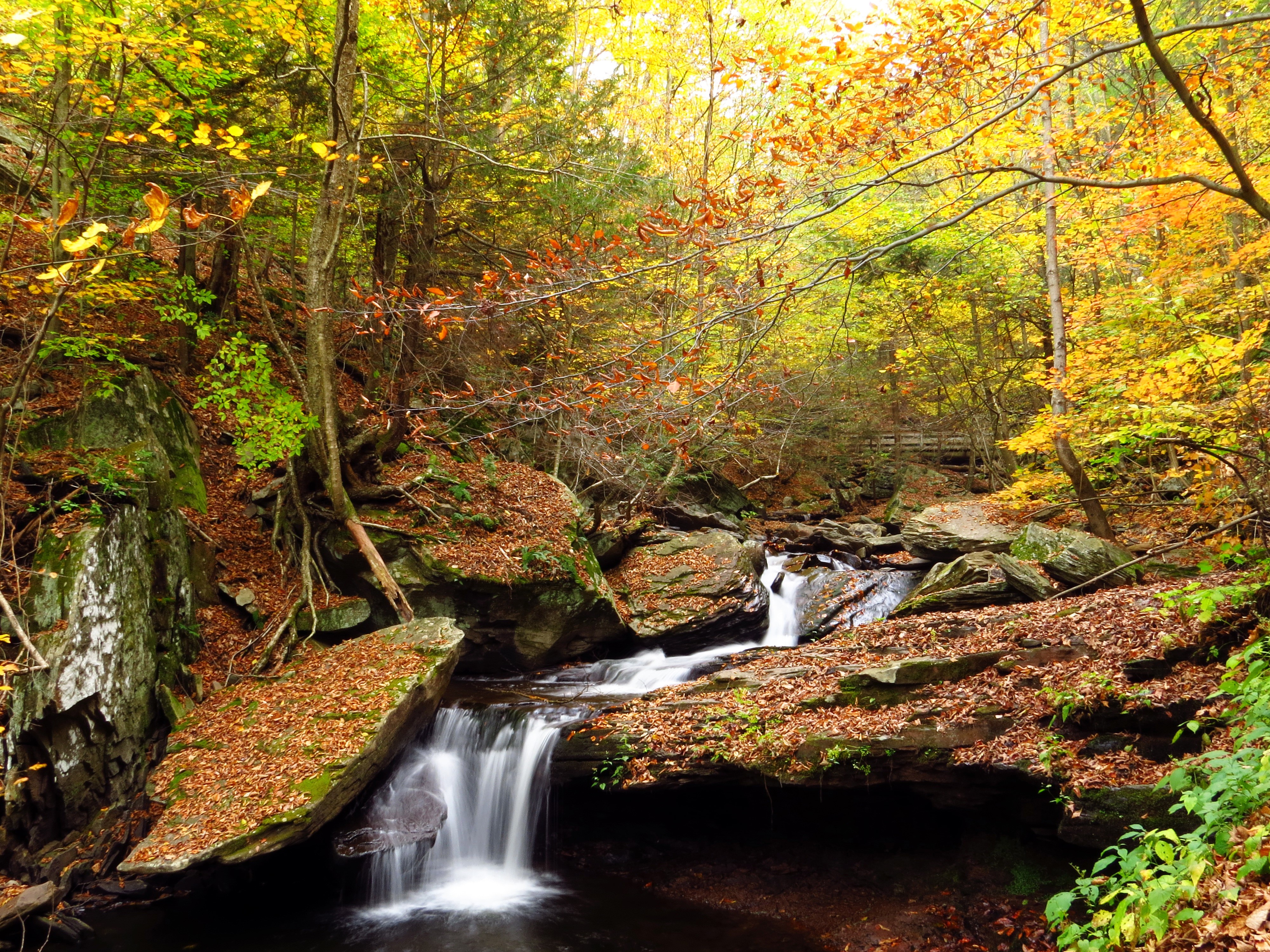 Autumn Waterfall in a Forest with Colorful Foliage HD Wallpaper