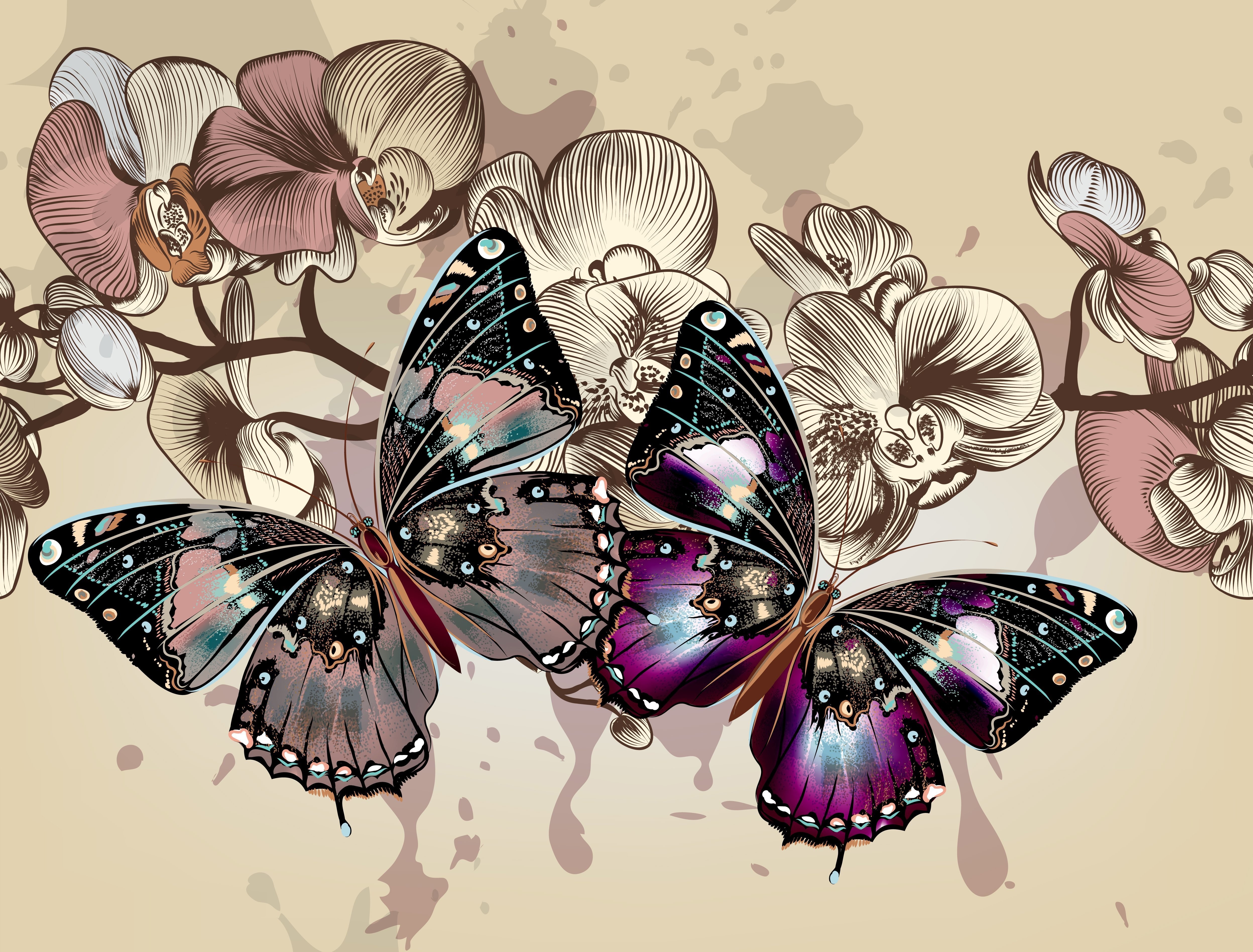Butterflies and Orchids Vector Graphics HD Wallpaper
