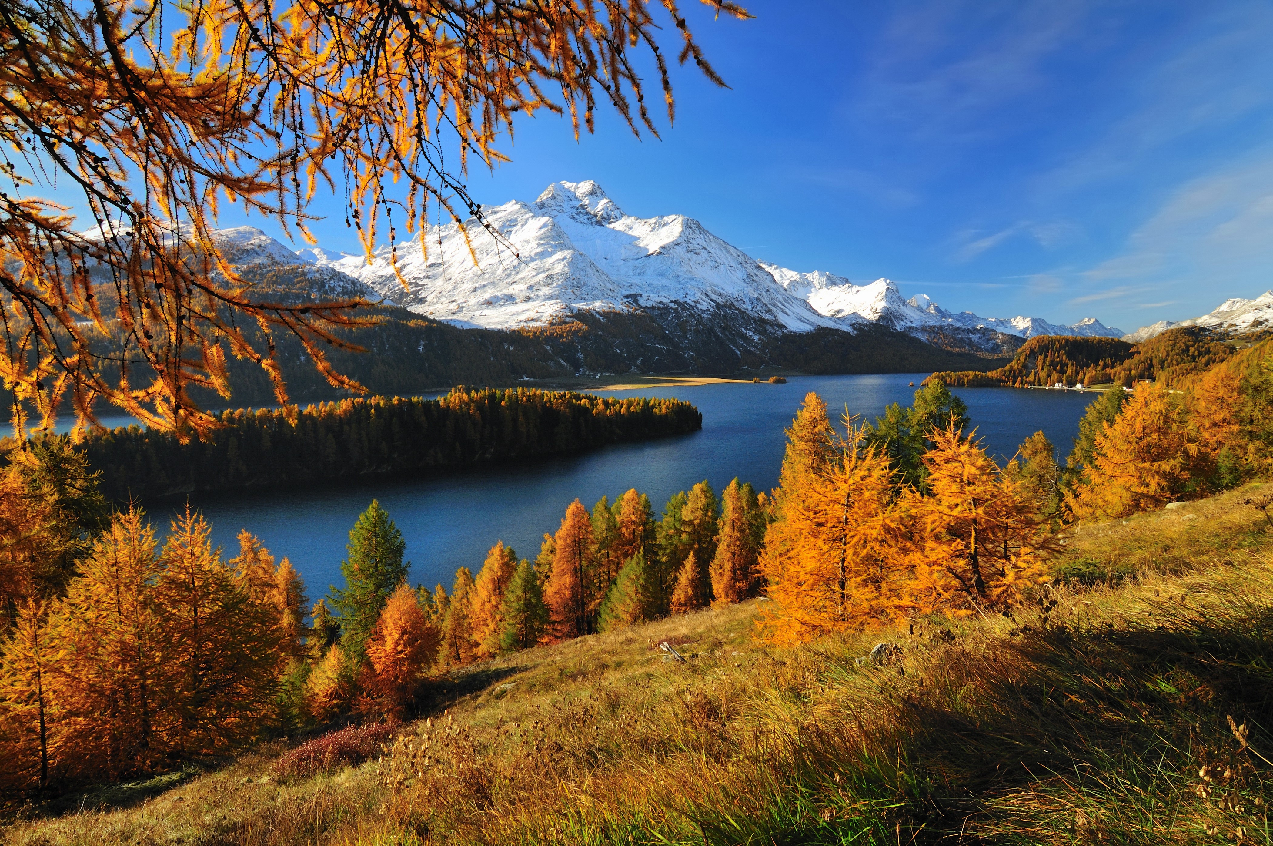 Autumn Scenery of Silsersee Lake and Mountains in Switzerland HD Wallpaper