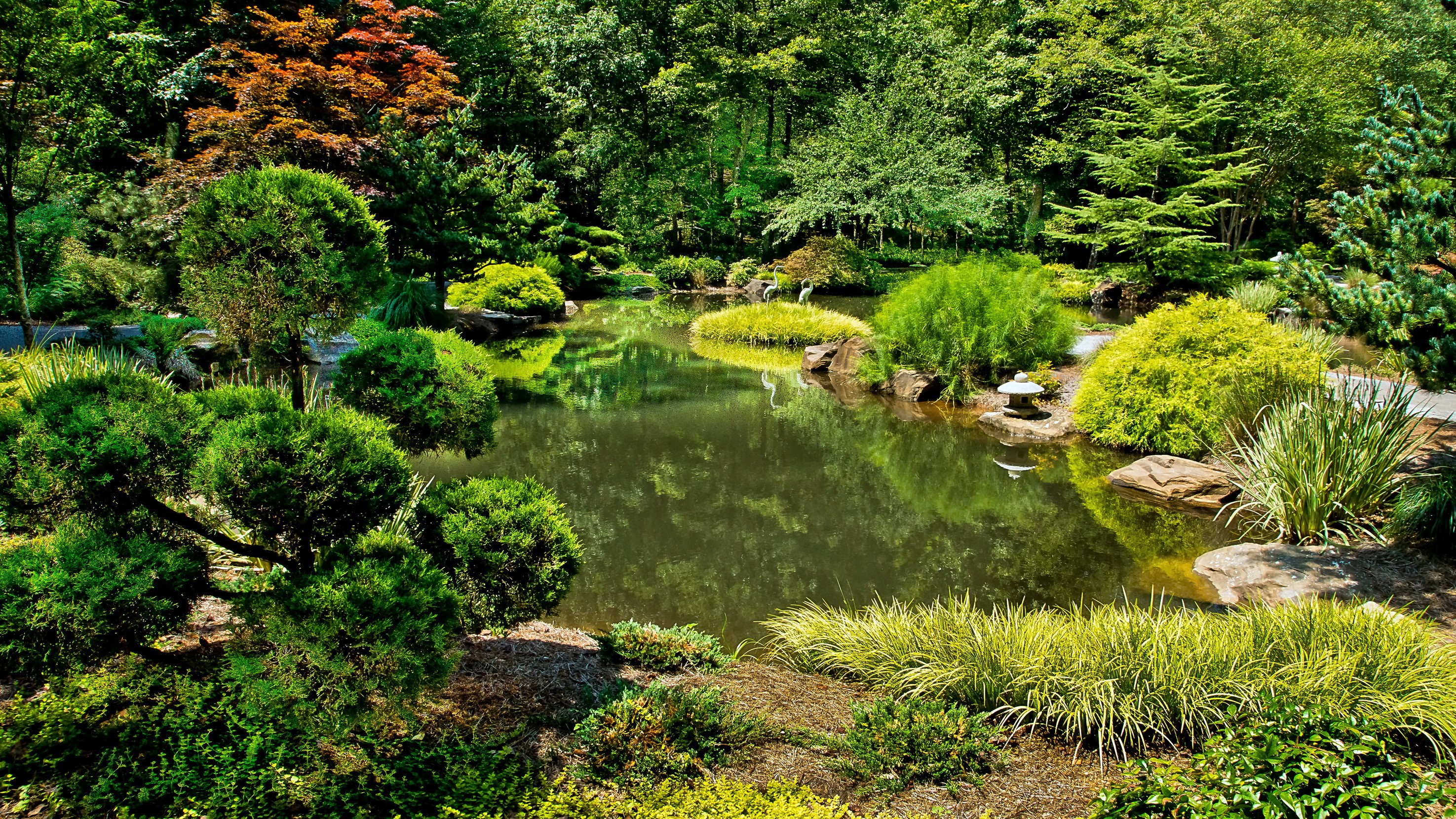 Gibbs Gardens Ball Ground USA Pond and Shrubs HD Wallpaper