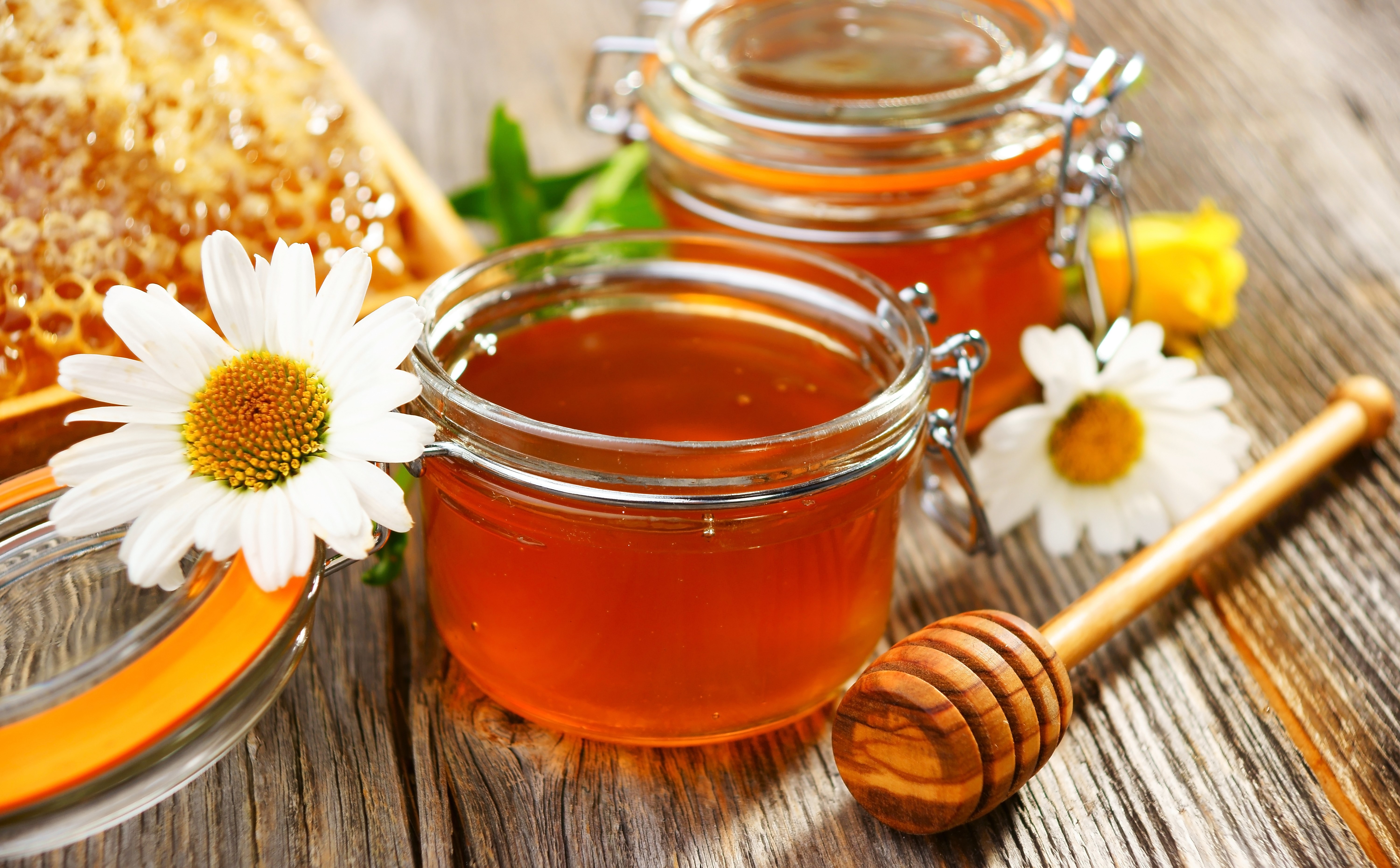 Honey in Jars with Honeycomb and Chamomile Flowers HD Wallpaper