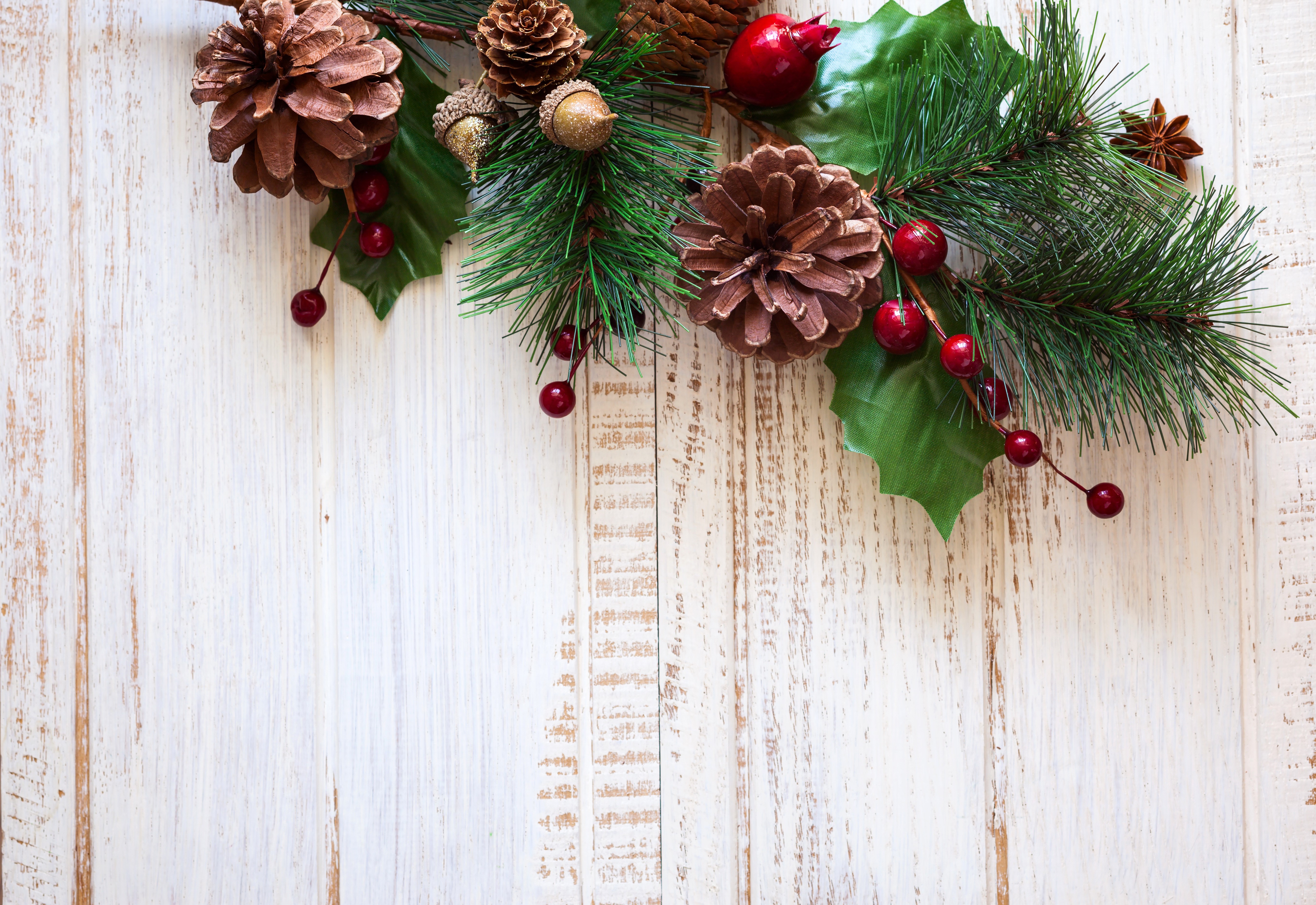 Christmas decoration with pine cones and berries HD Wallpaper