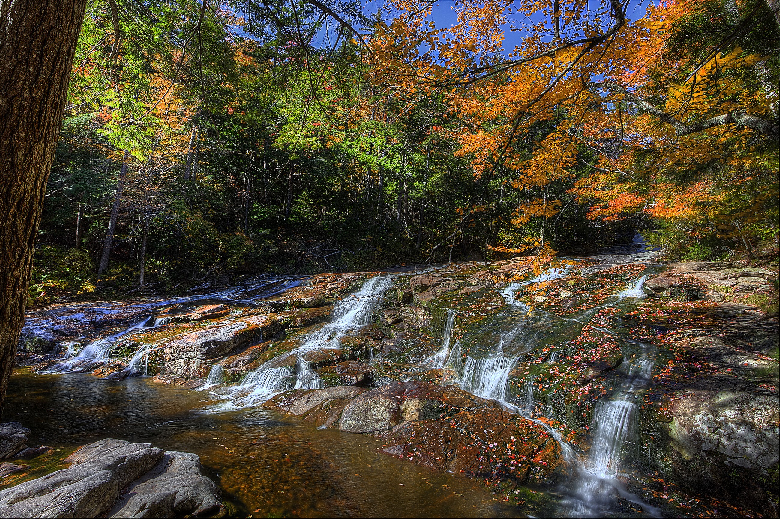 Autumn waterfall in a forest with colorful leaves HD Wallpaper