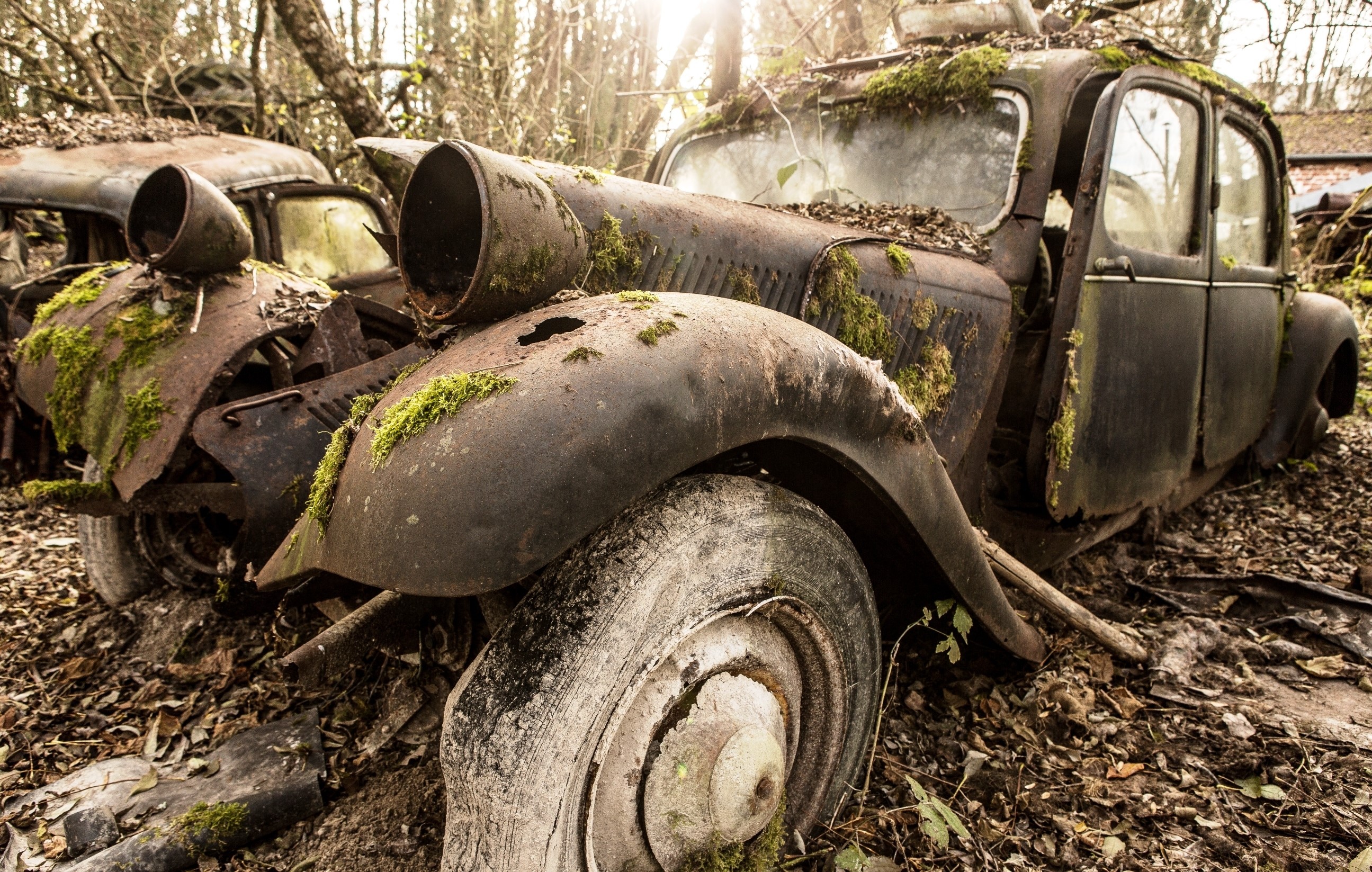 Abandoned vintage car covered in moss and leaves HD Wallpaper