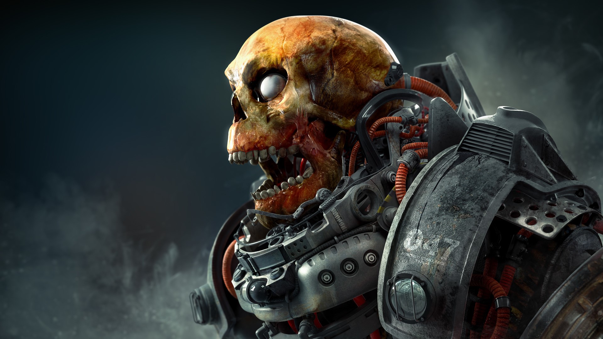 Cybernetic Skull Warrior HD Wallpaper