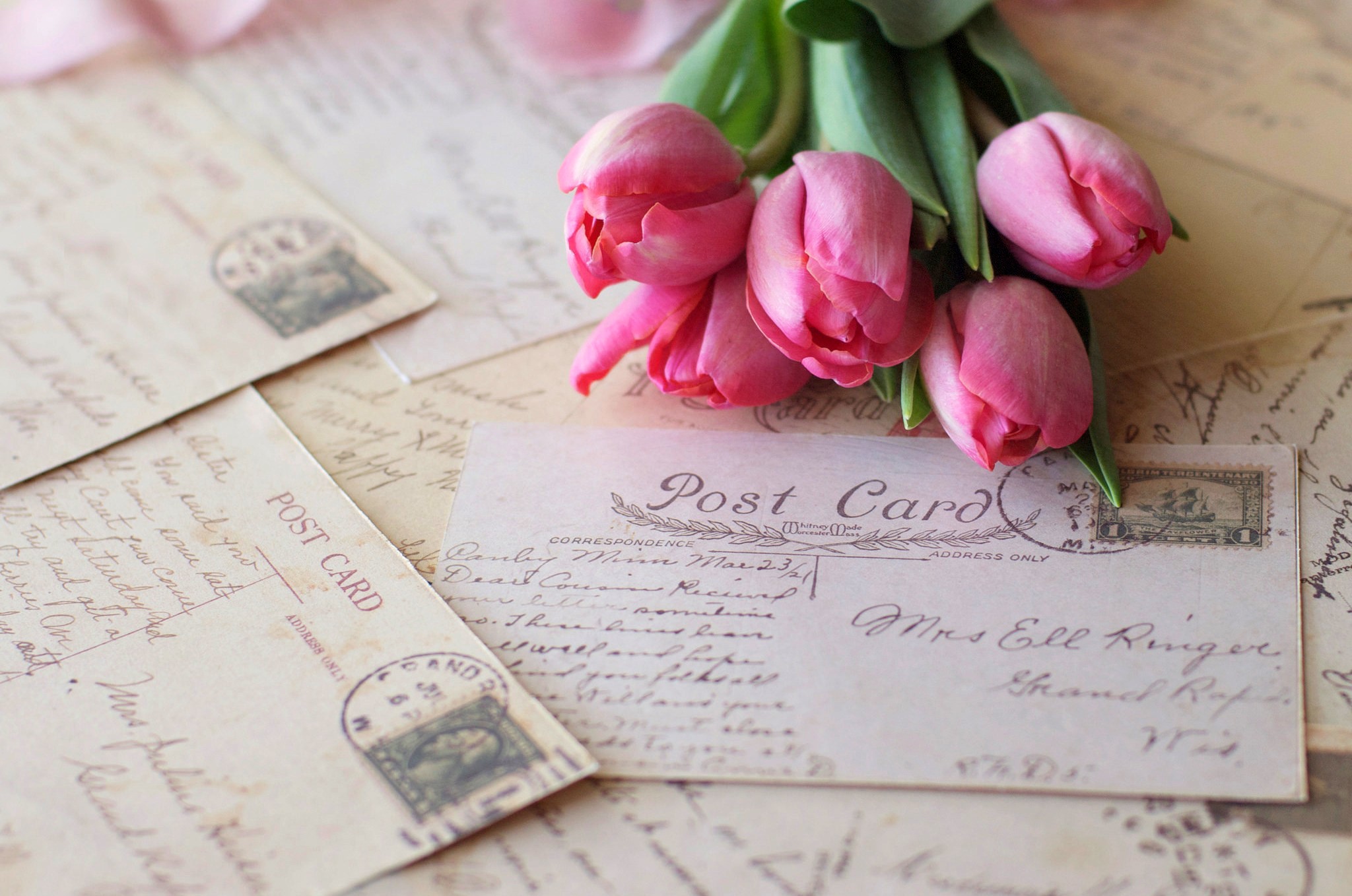 Pink Tulips on Vintage Postcards HD Wallpaper