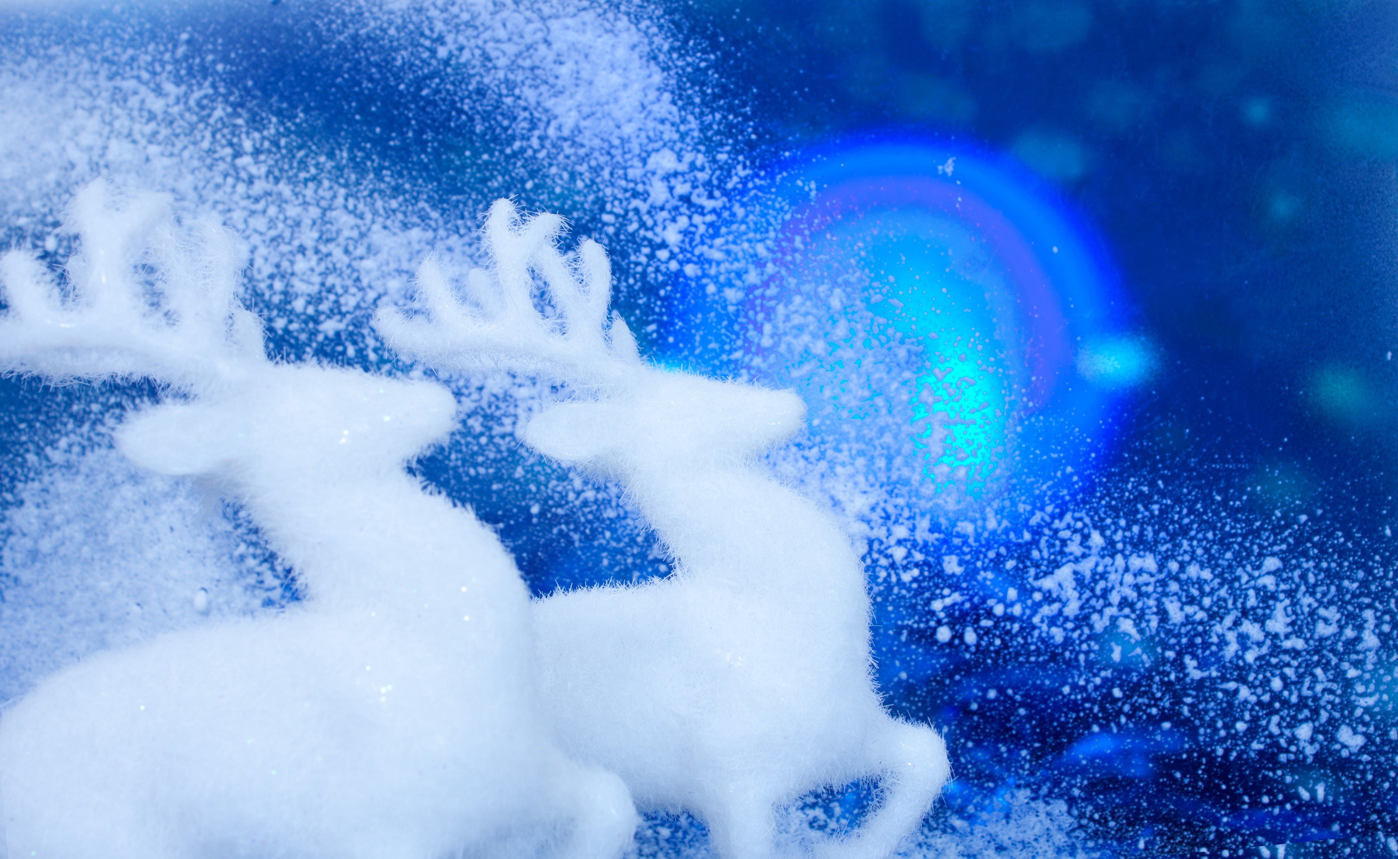 Christmas Deer in Snow with Blue Lights HD Wallpaper