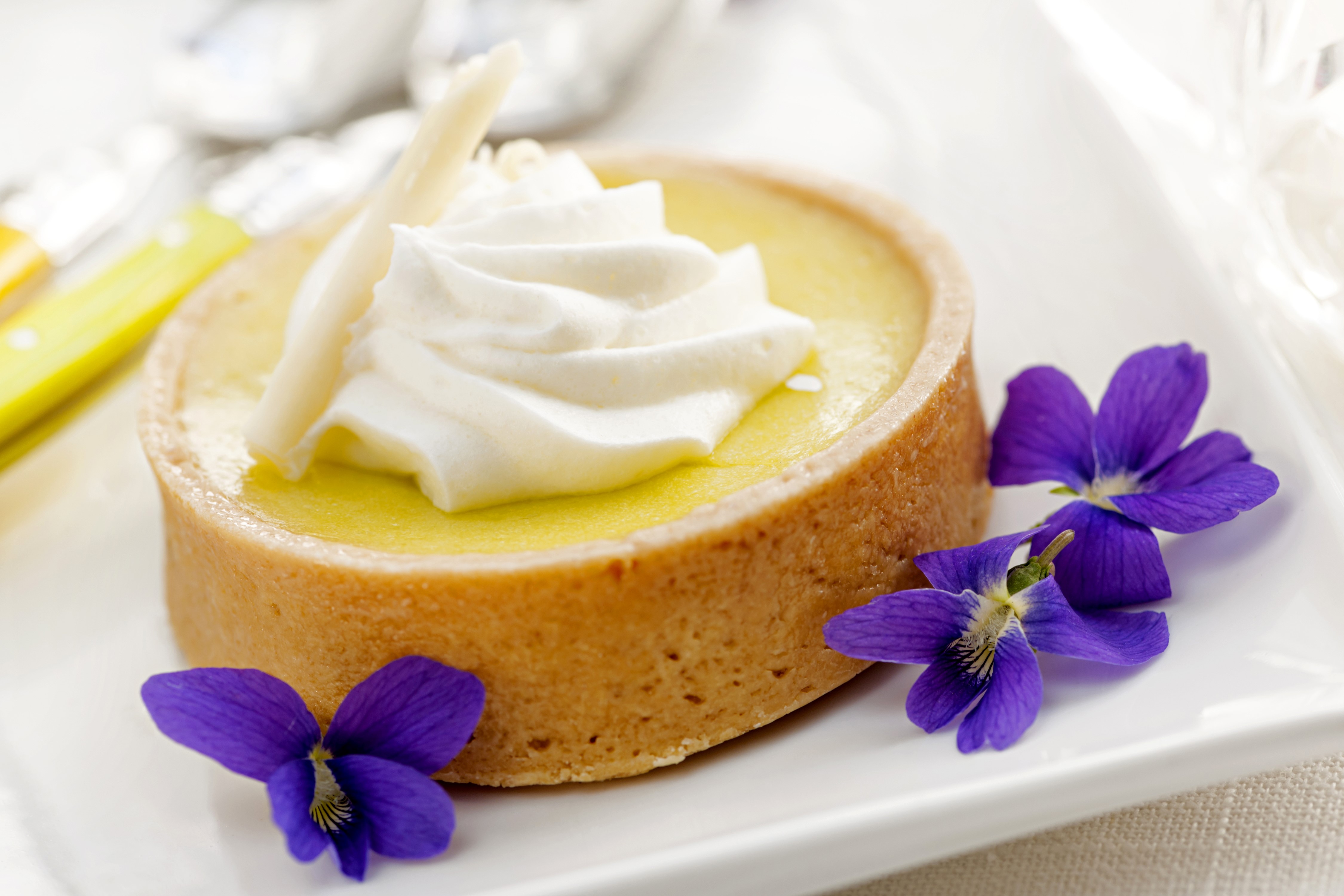Lemon Tart with Whipped Cream and Violets HD Wallpaper
