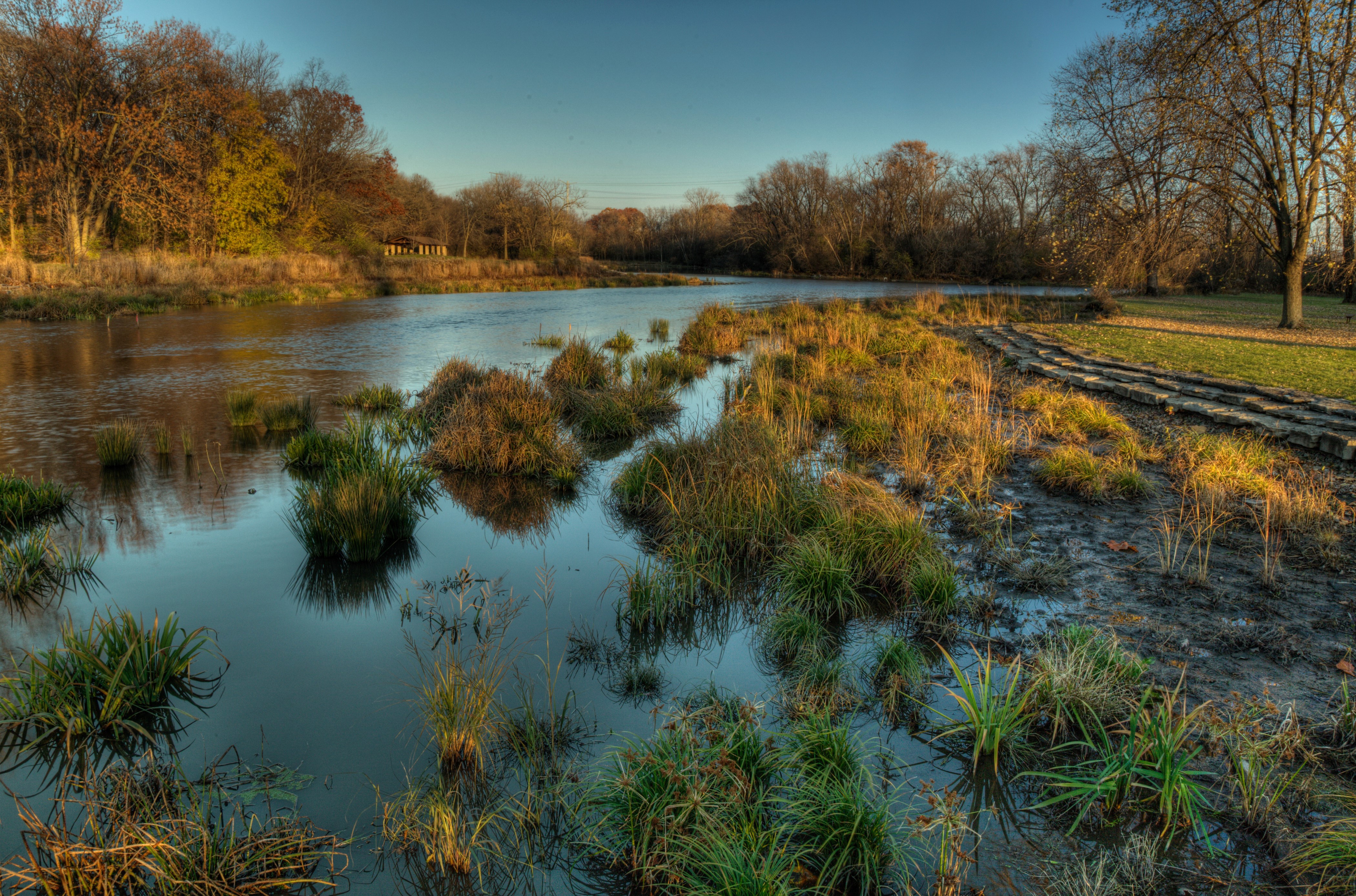 Autumn River Scenery with Trees and Grass HD Wallpaper