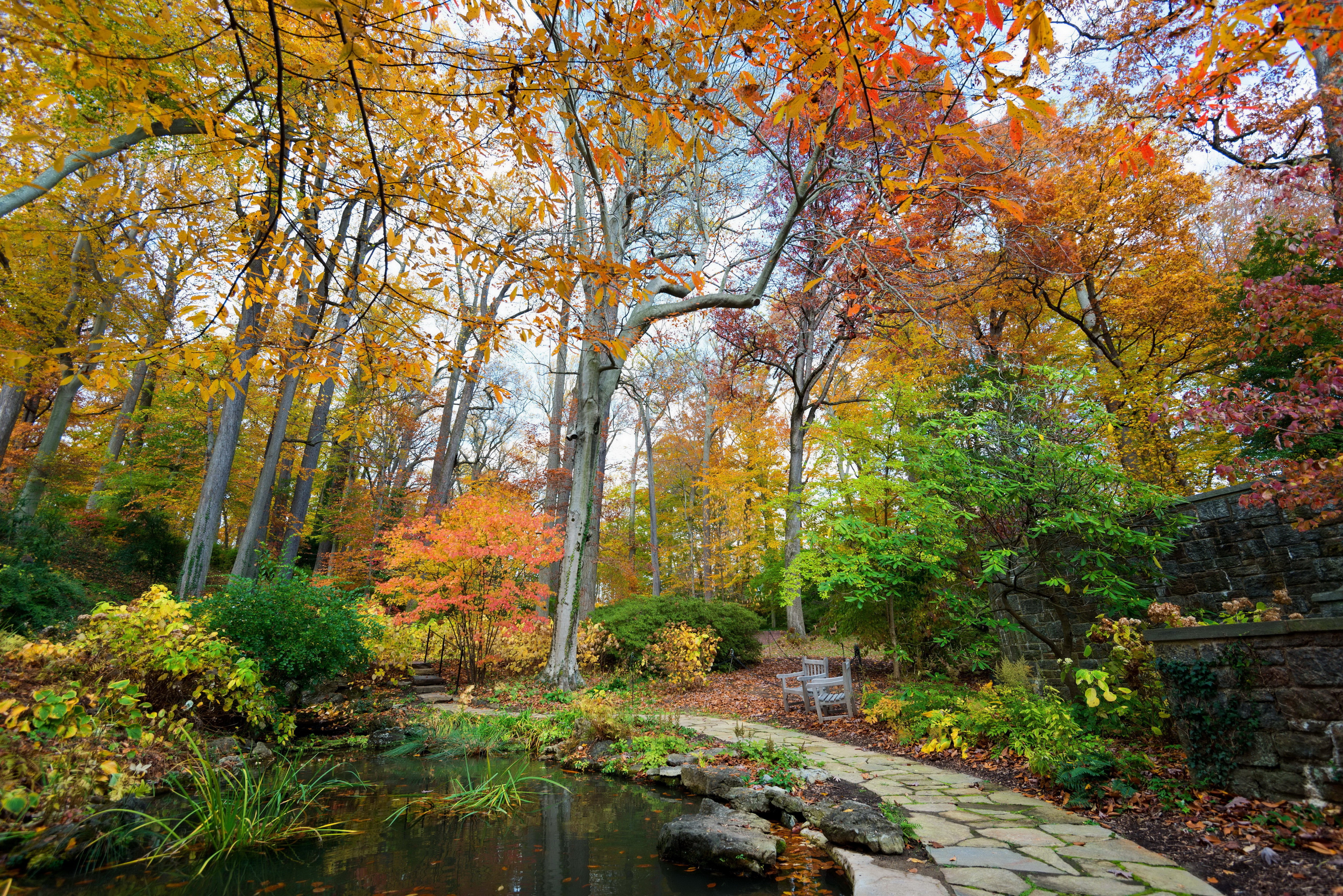 Autumn Pond and Stone Path in a Park HD Wallpaper