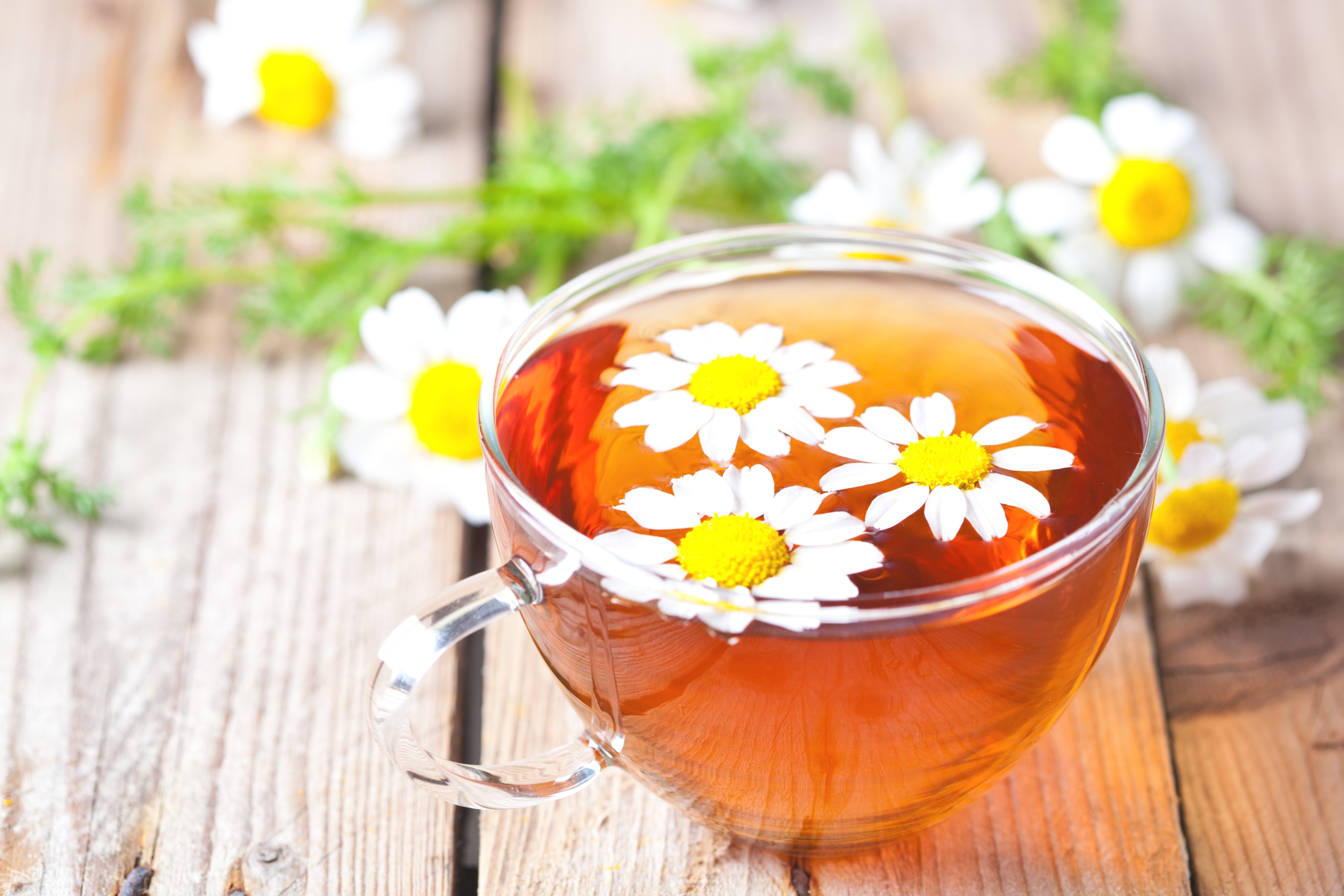 Chamomile tea in a glass cup with flowers HD Wallpaper