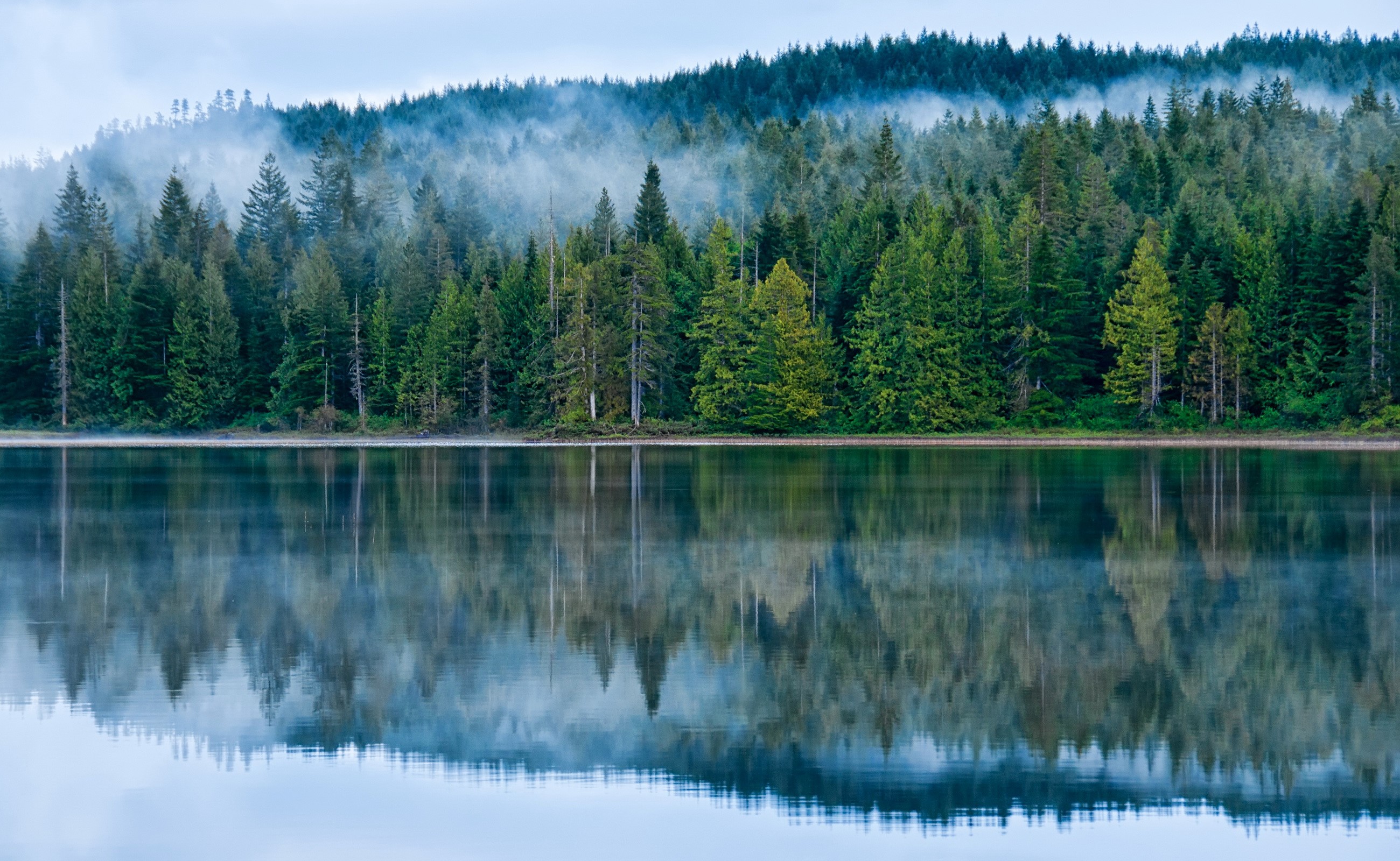 Lake and Forest Reflection in Morton, British Columbia, Canada HD Wallpaper