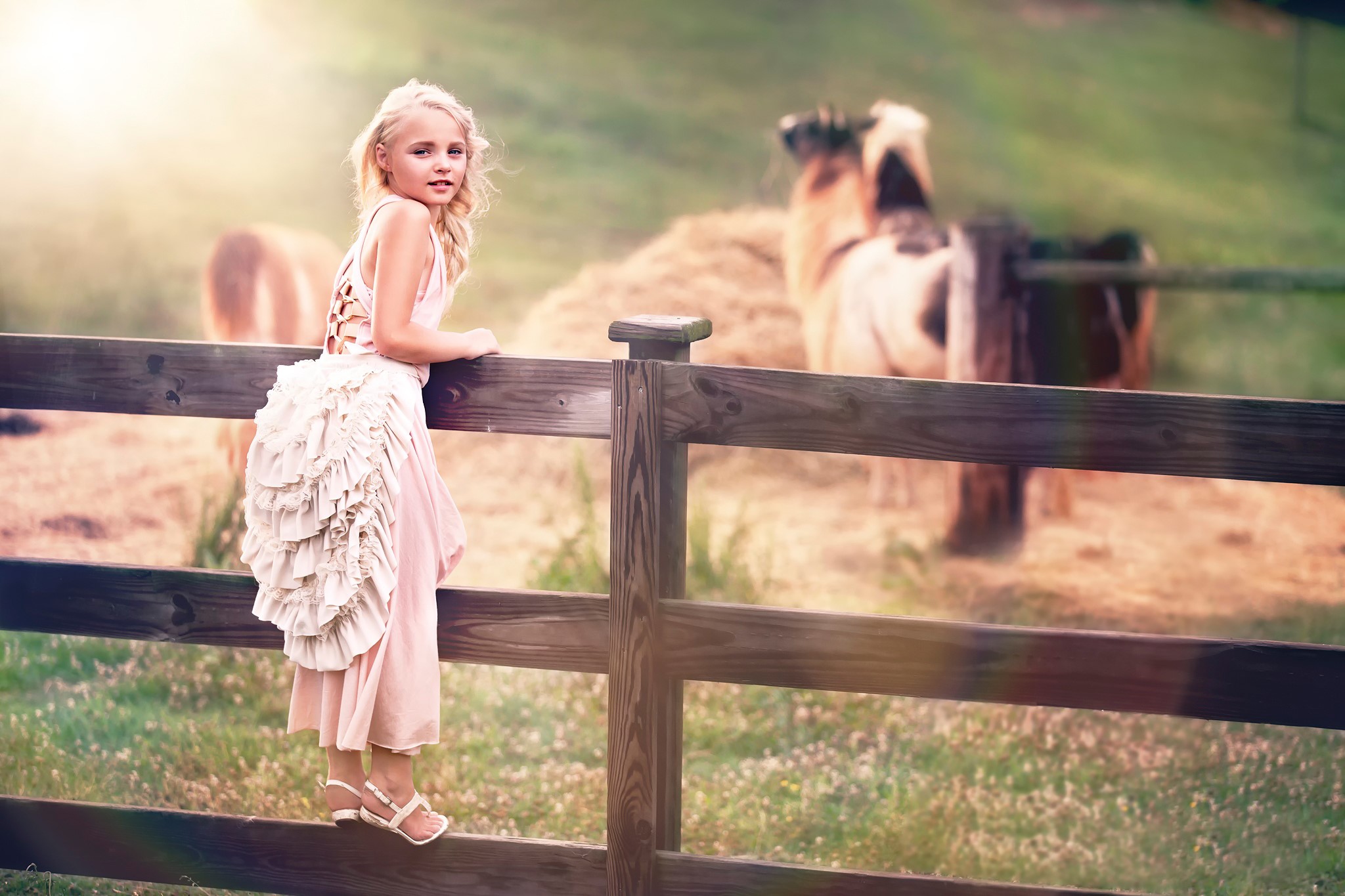 Girl in a dress on a fence with horses HD Wallpaper